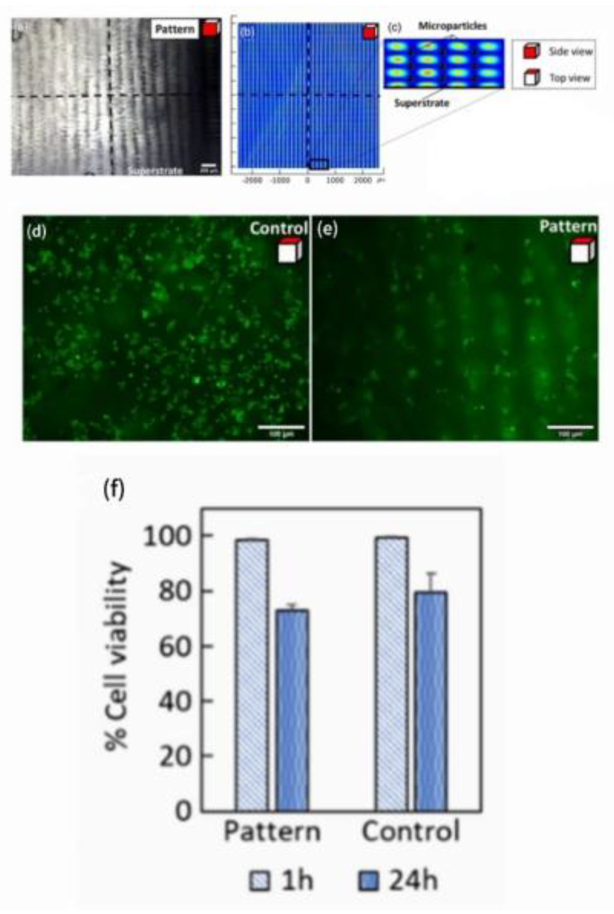 Preprints 164062 g008