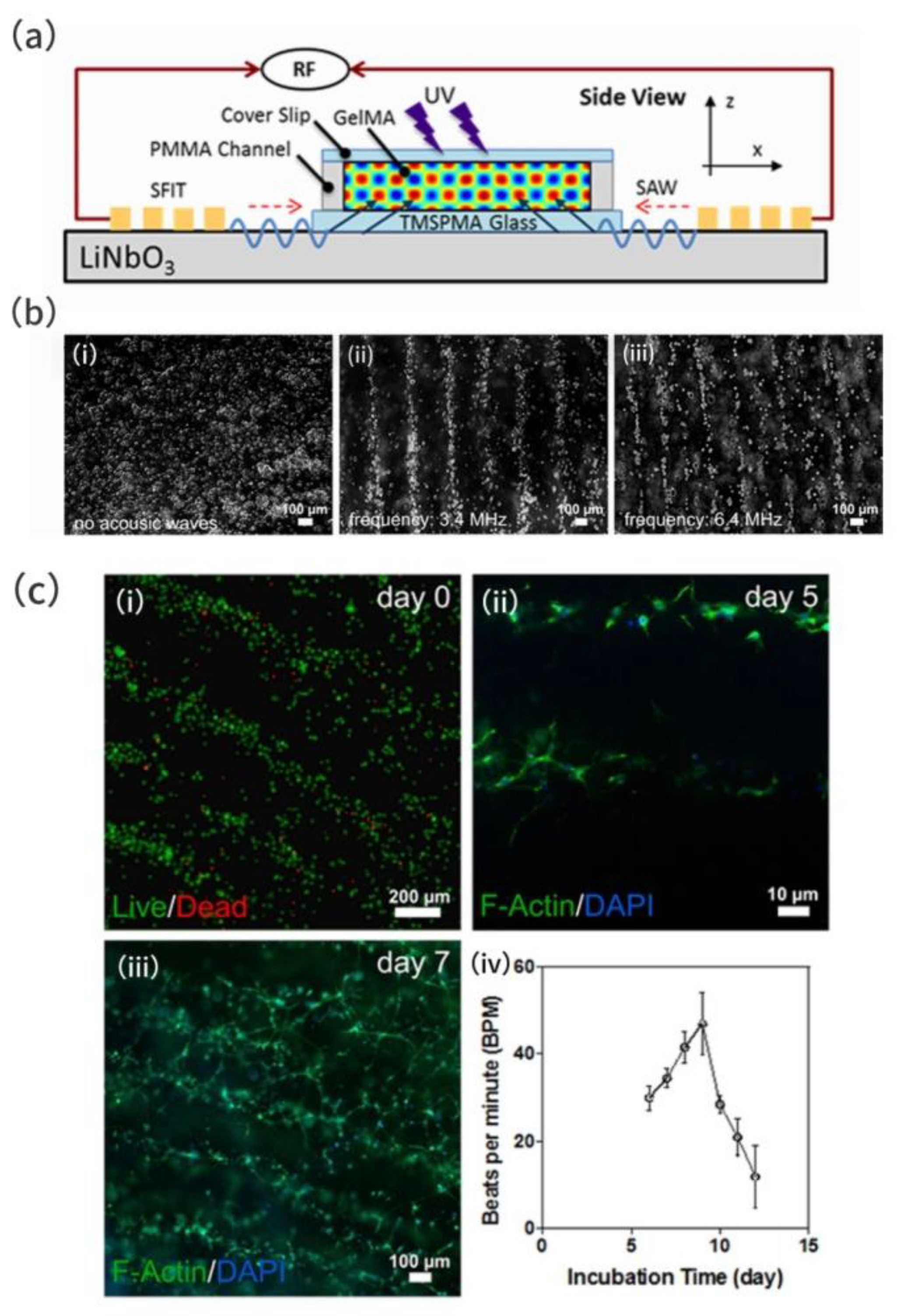 Preprints 164062 g009