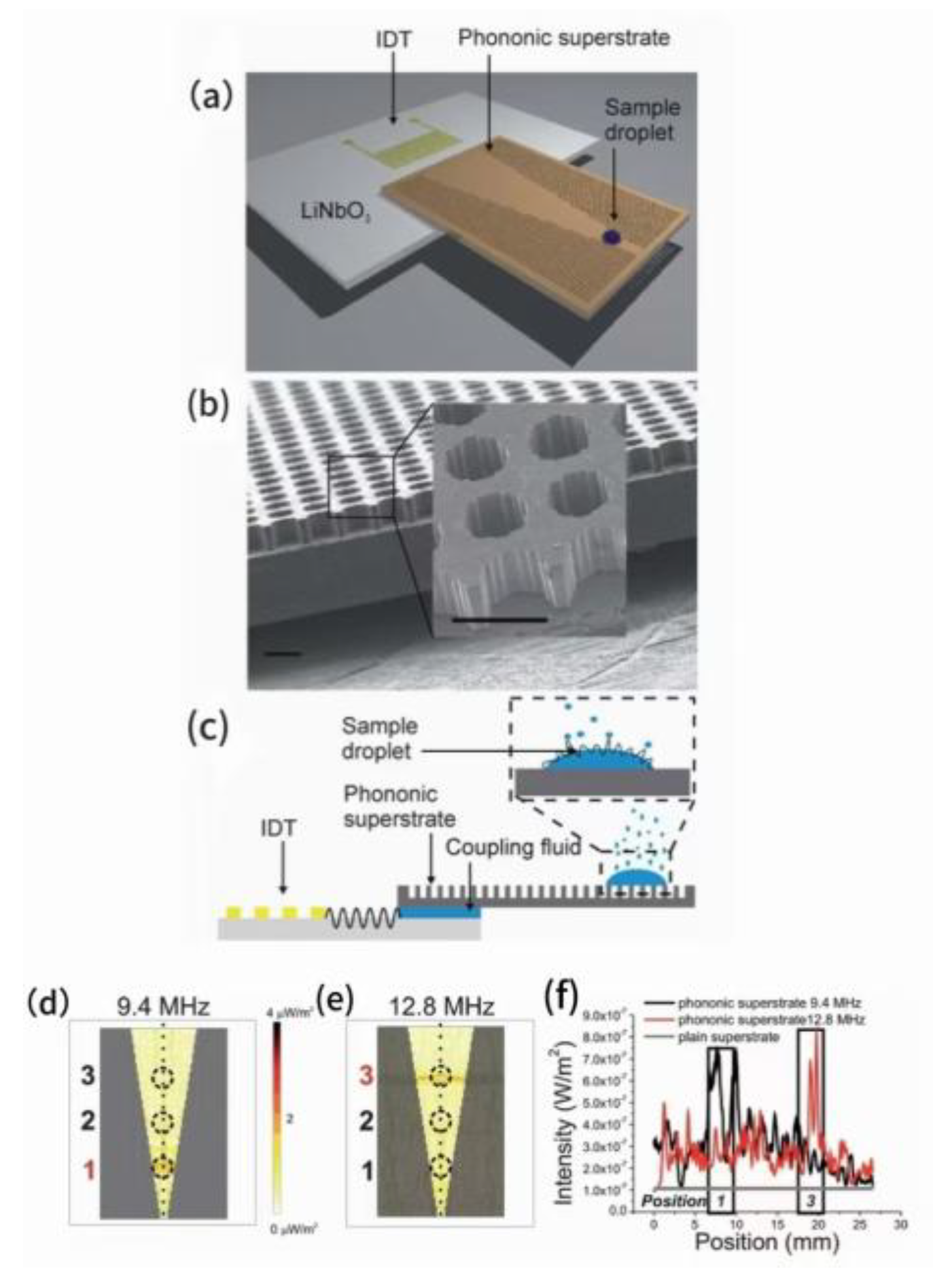 Preprints 164062 g012
