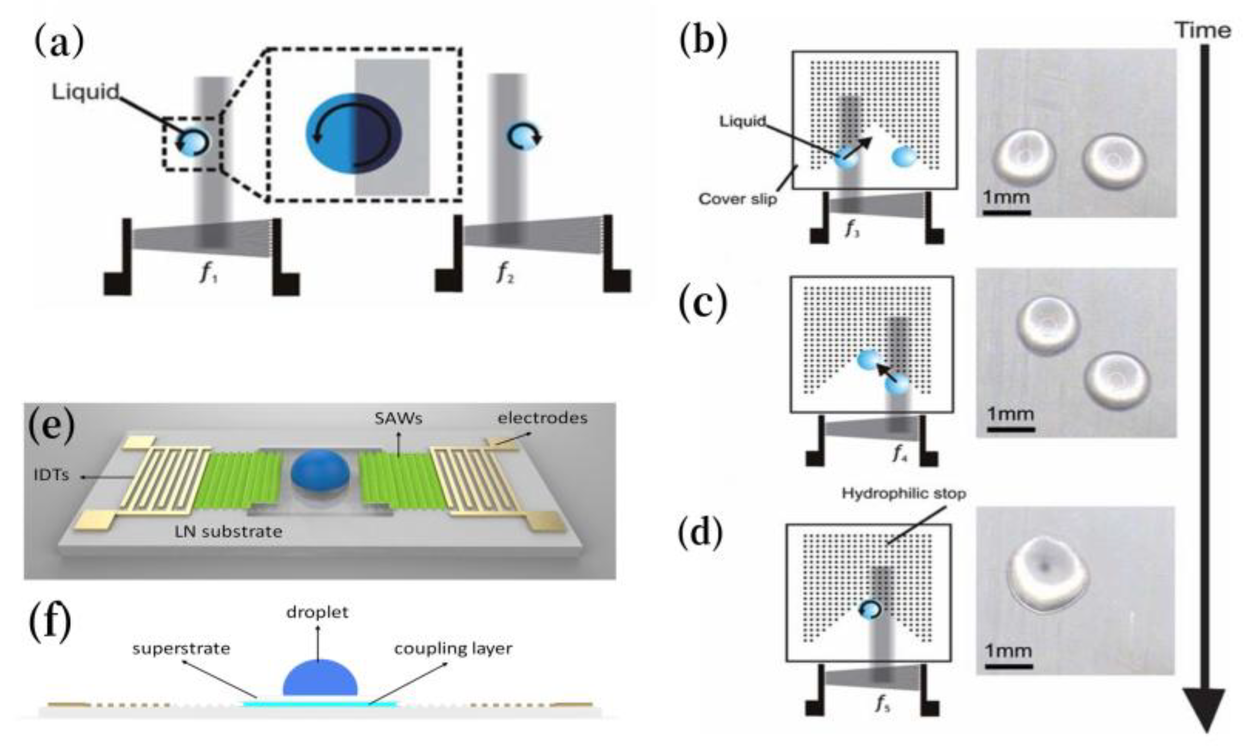 Preprints 164062 g013