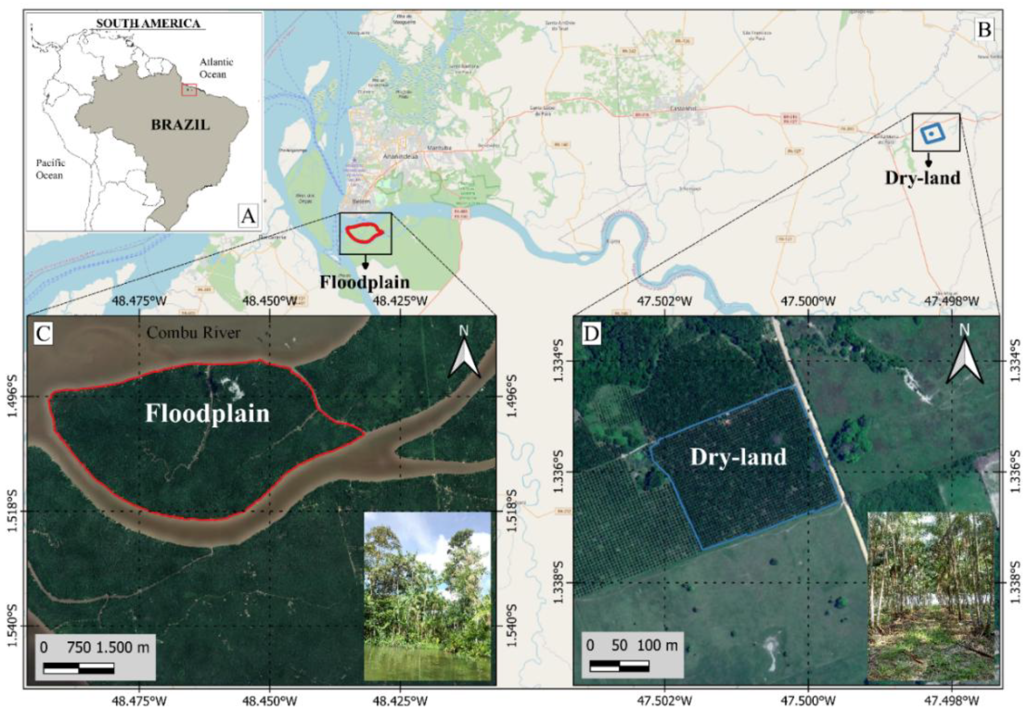 Preprints 158740 g001