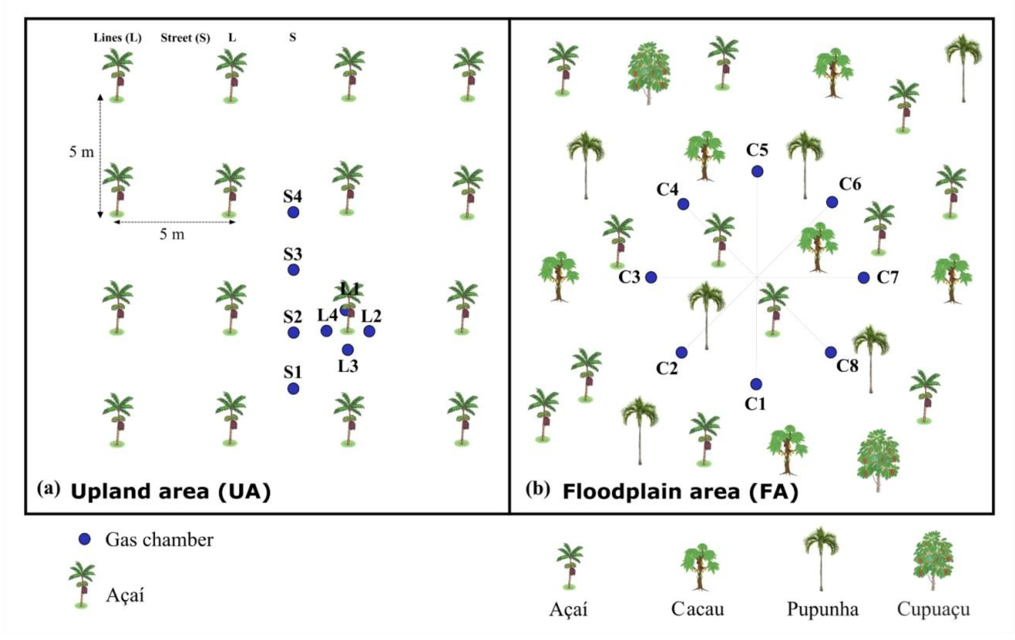 Preprints 158740 g002