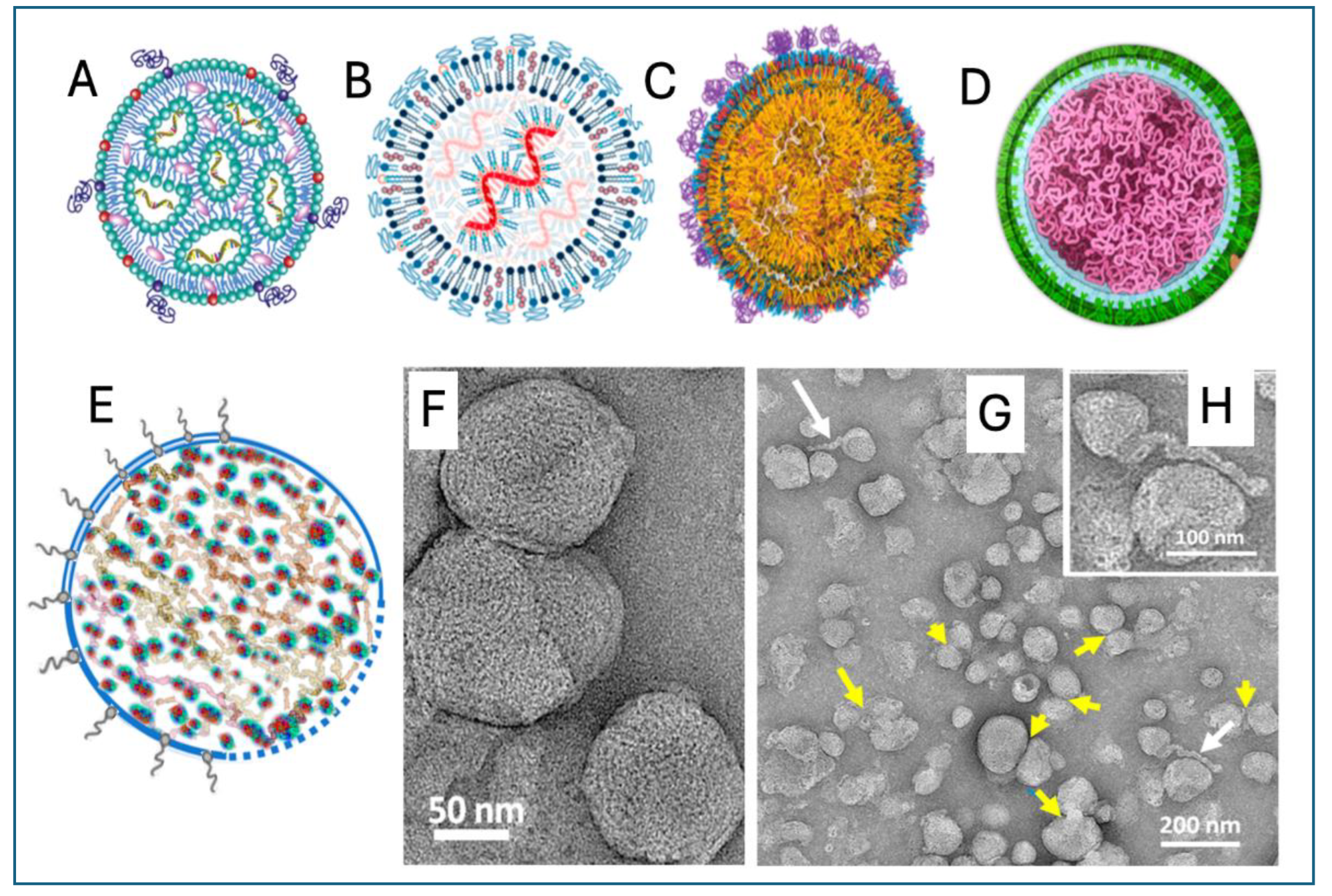 Preprints 146635 g001
