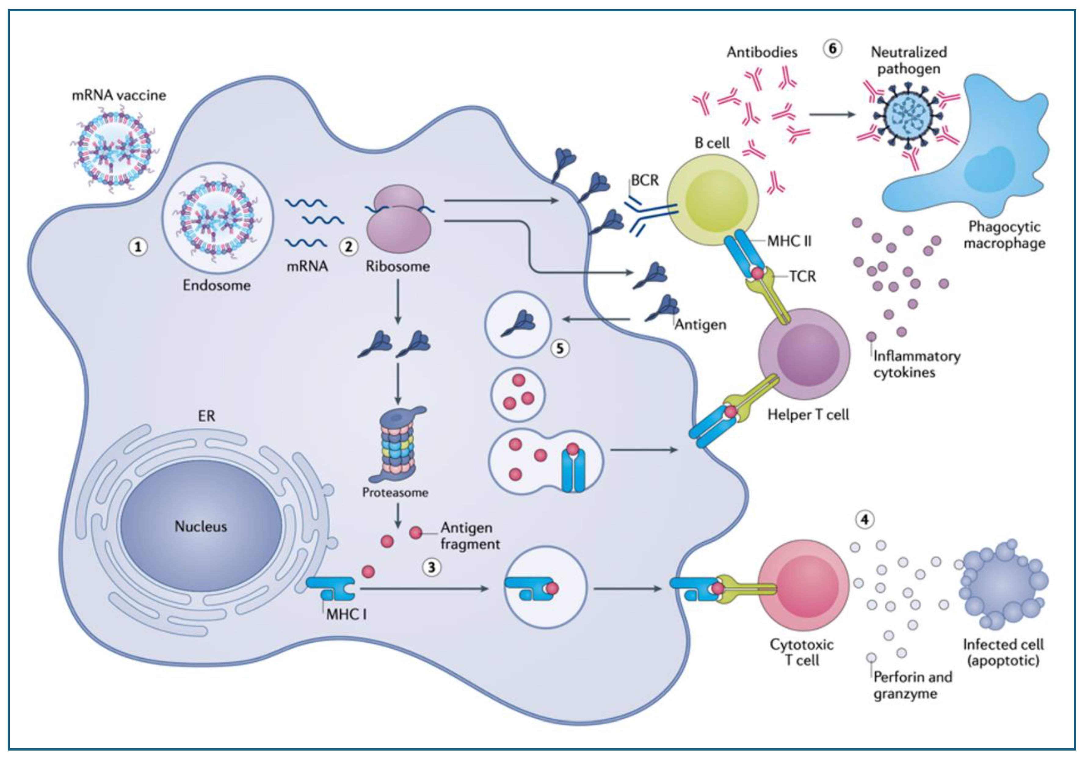 Preprints 146635 g002