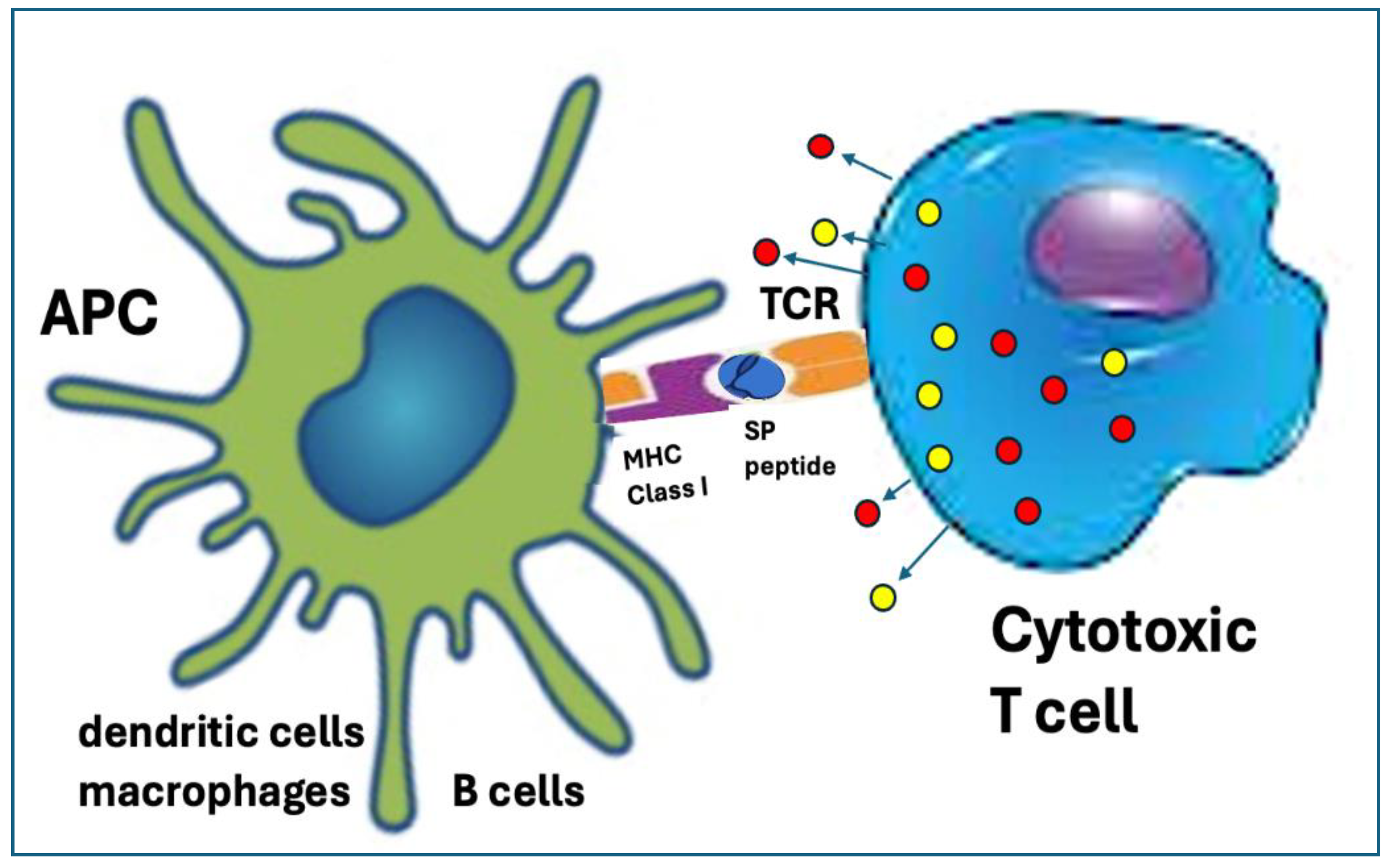 Preprints 146635 g003