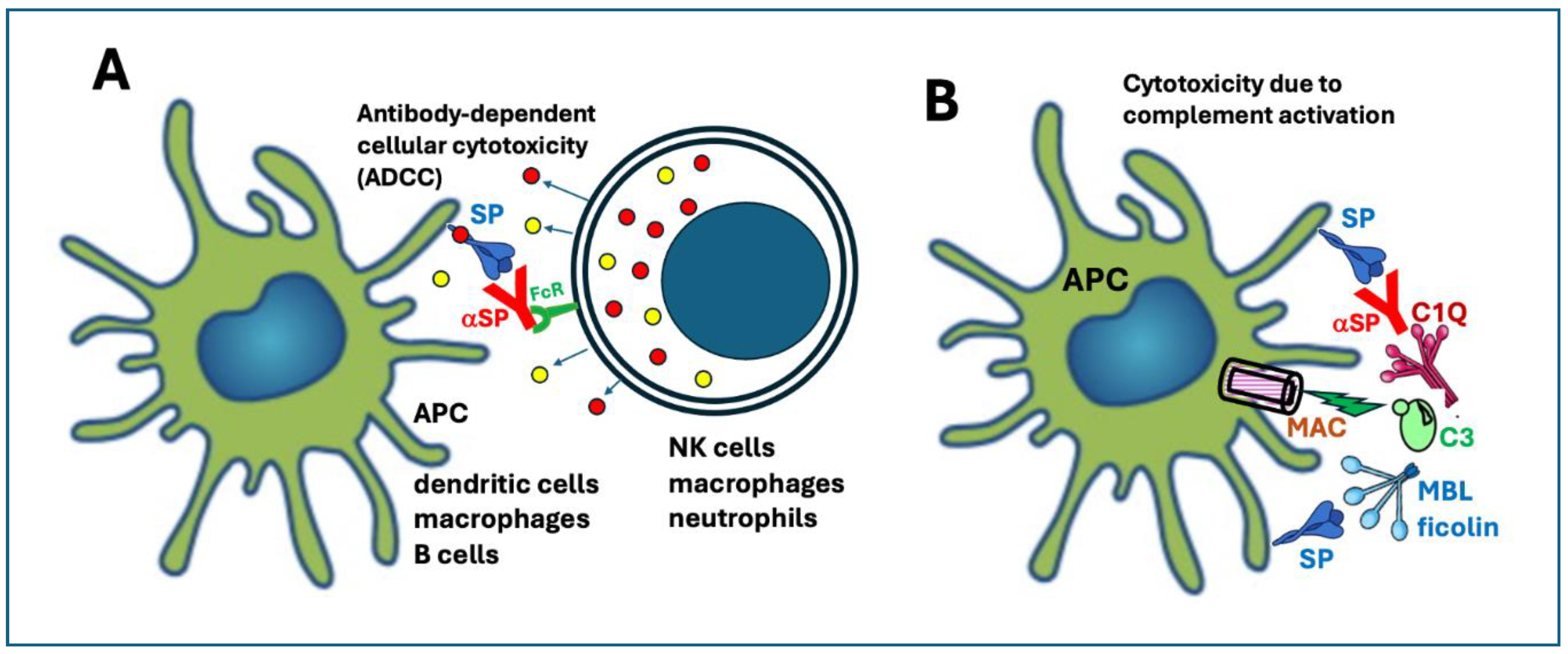 Preprints 146635 g004