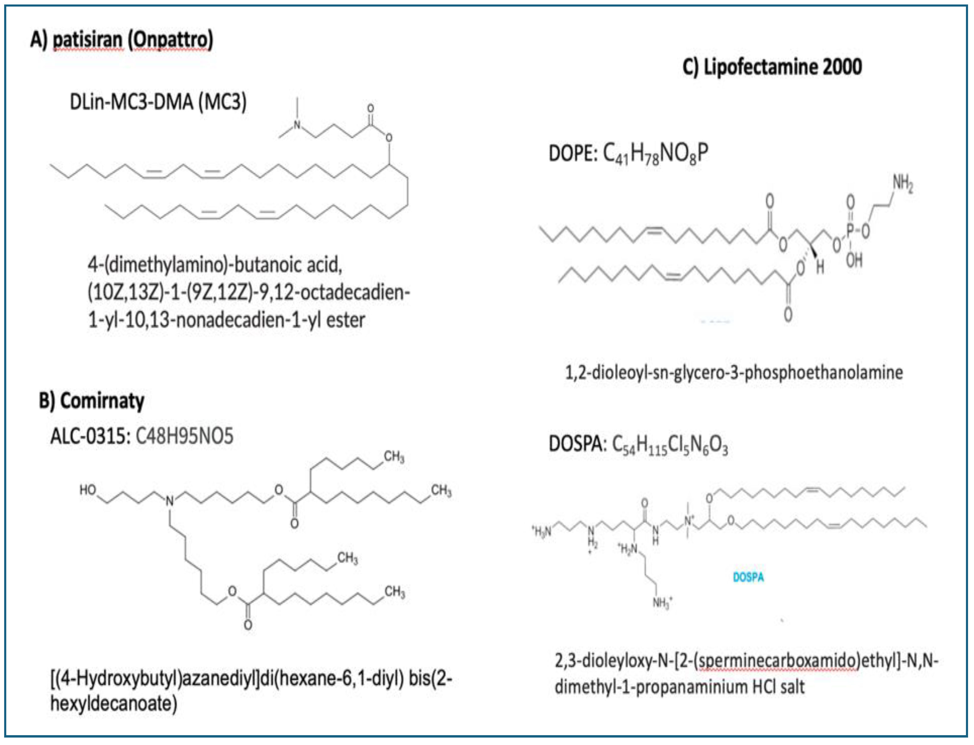 Preprints 146635 g006