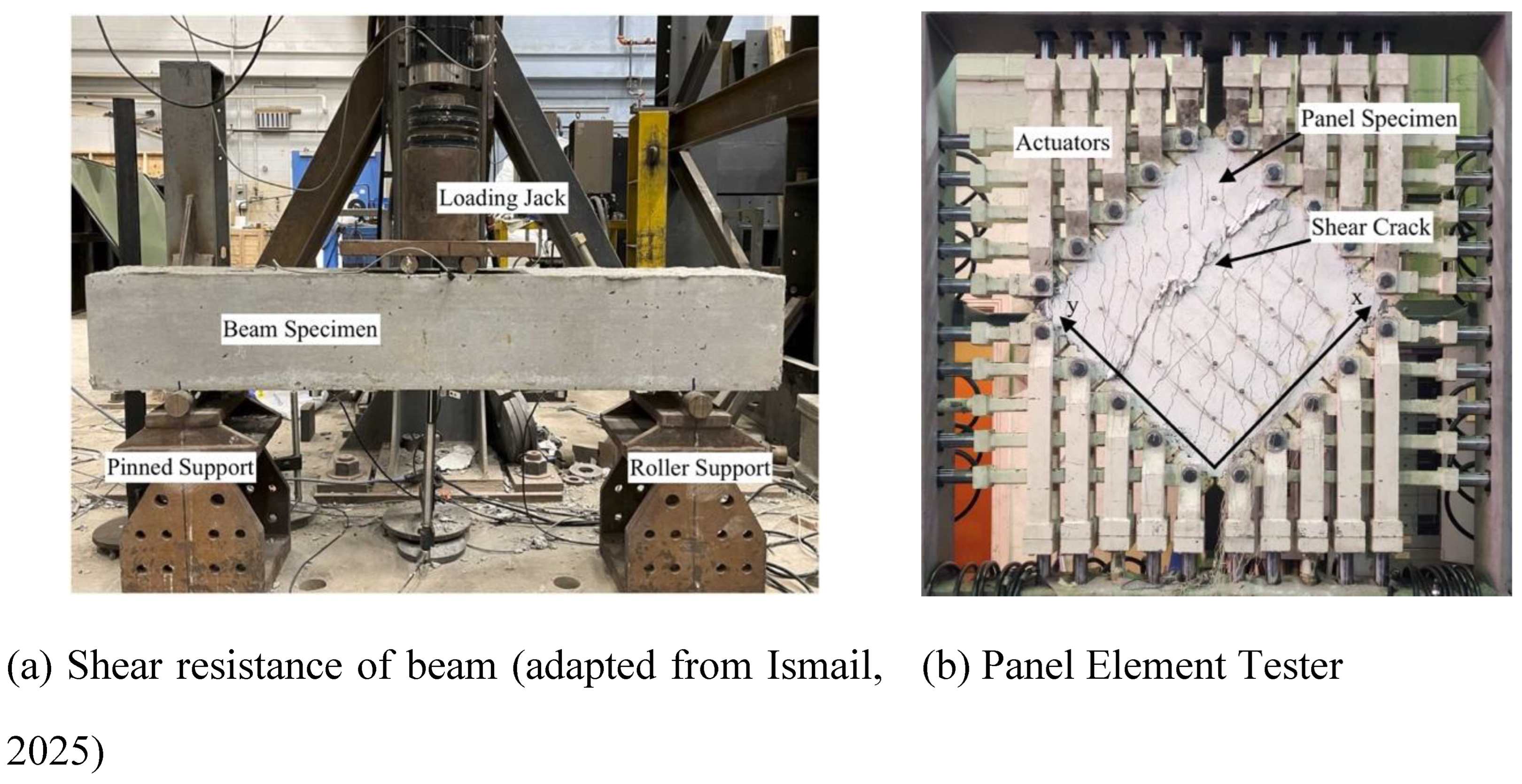 Preprints 175645 g002