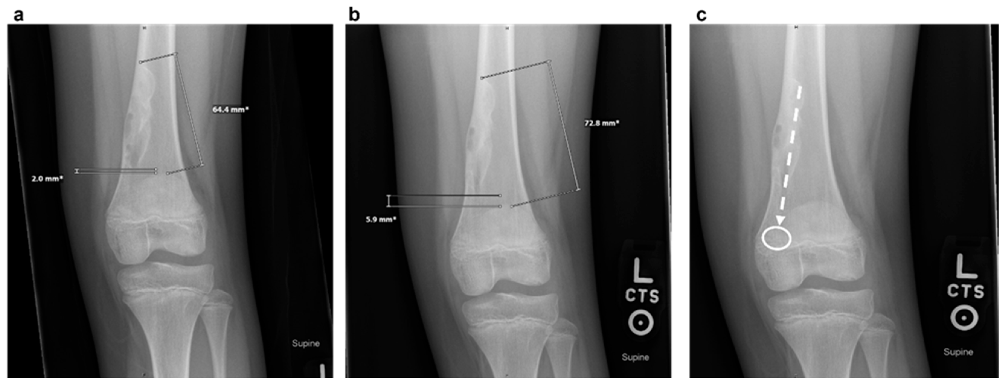 Preprints 170134 g001