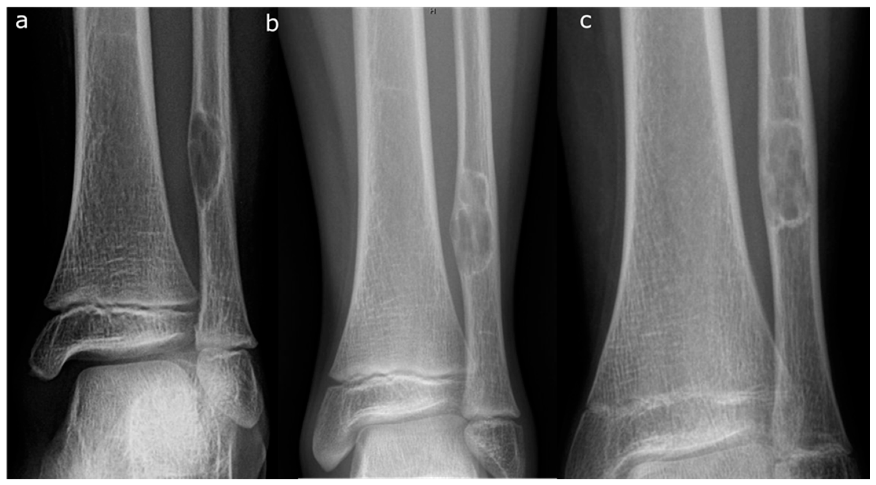 Preprints 170134 g002