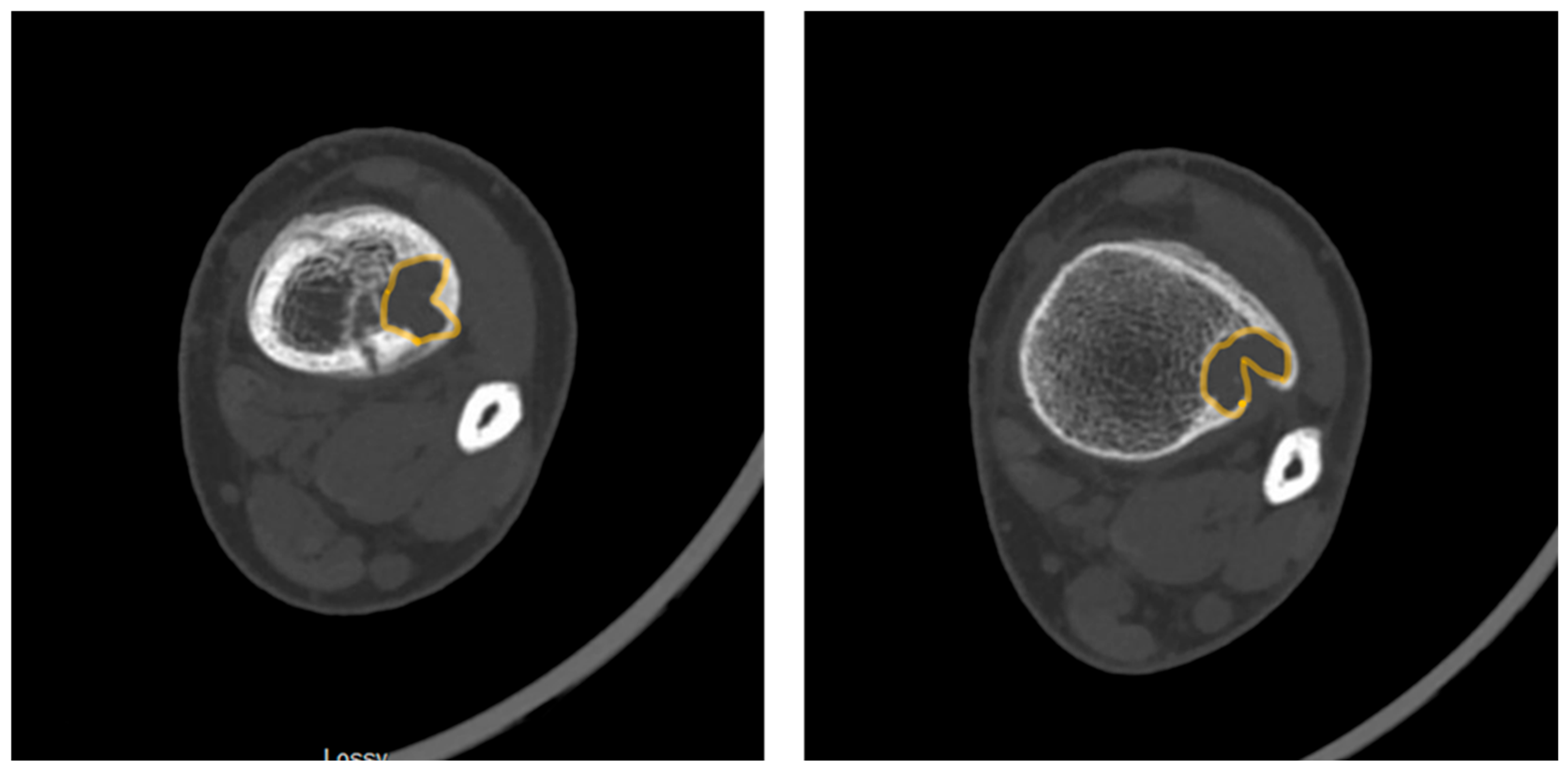 Preprints 170134 g003