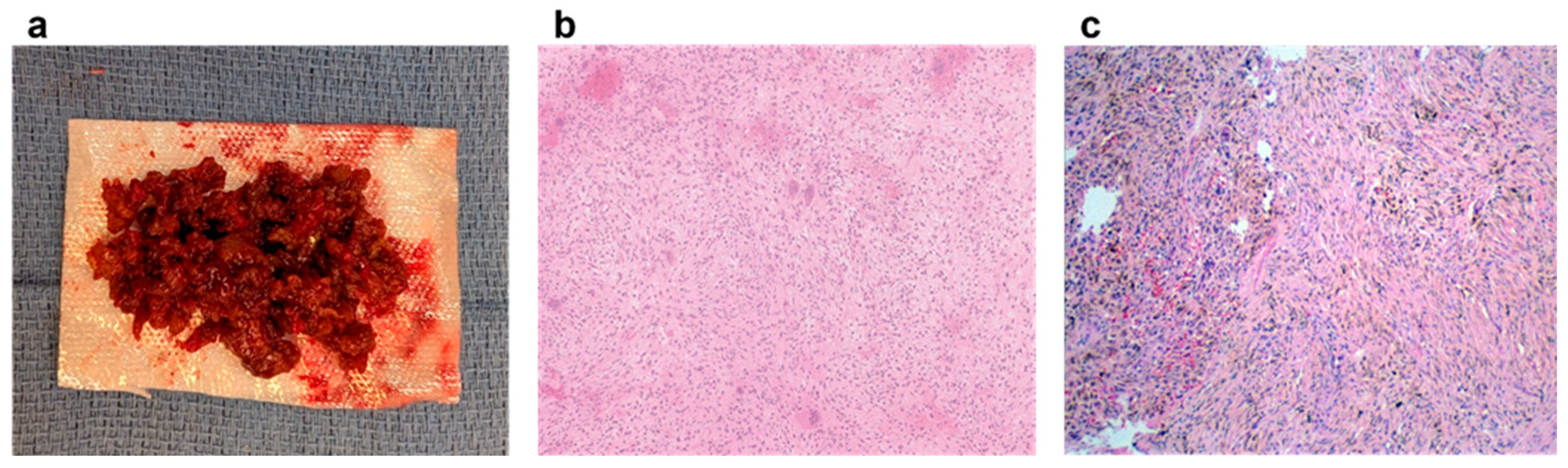 Preprints 170134 g004