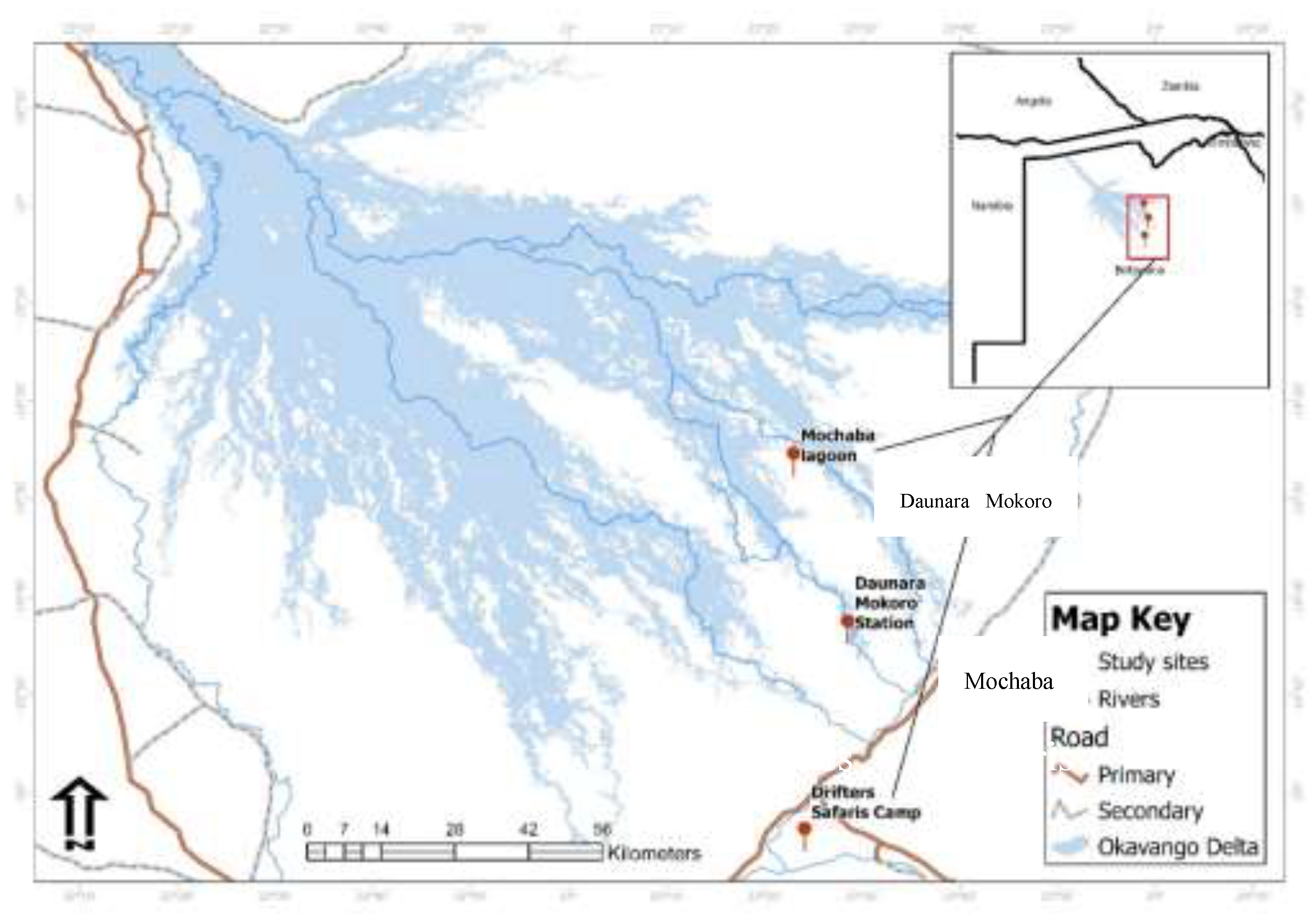 Preprints 150110 g001