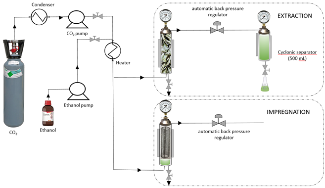 Preprints 200929 g001