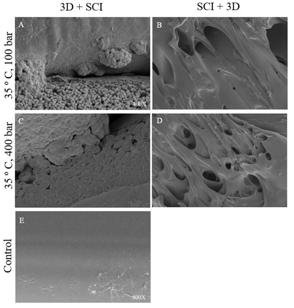 Preprints 200929 g004