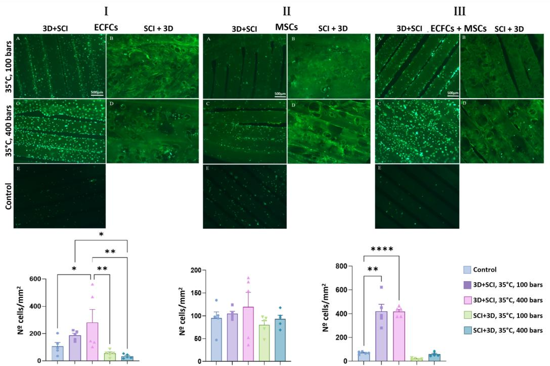 Preprints 200929 g005