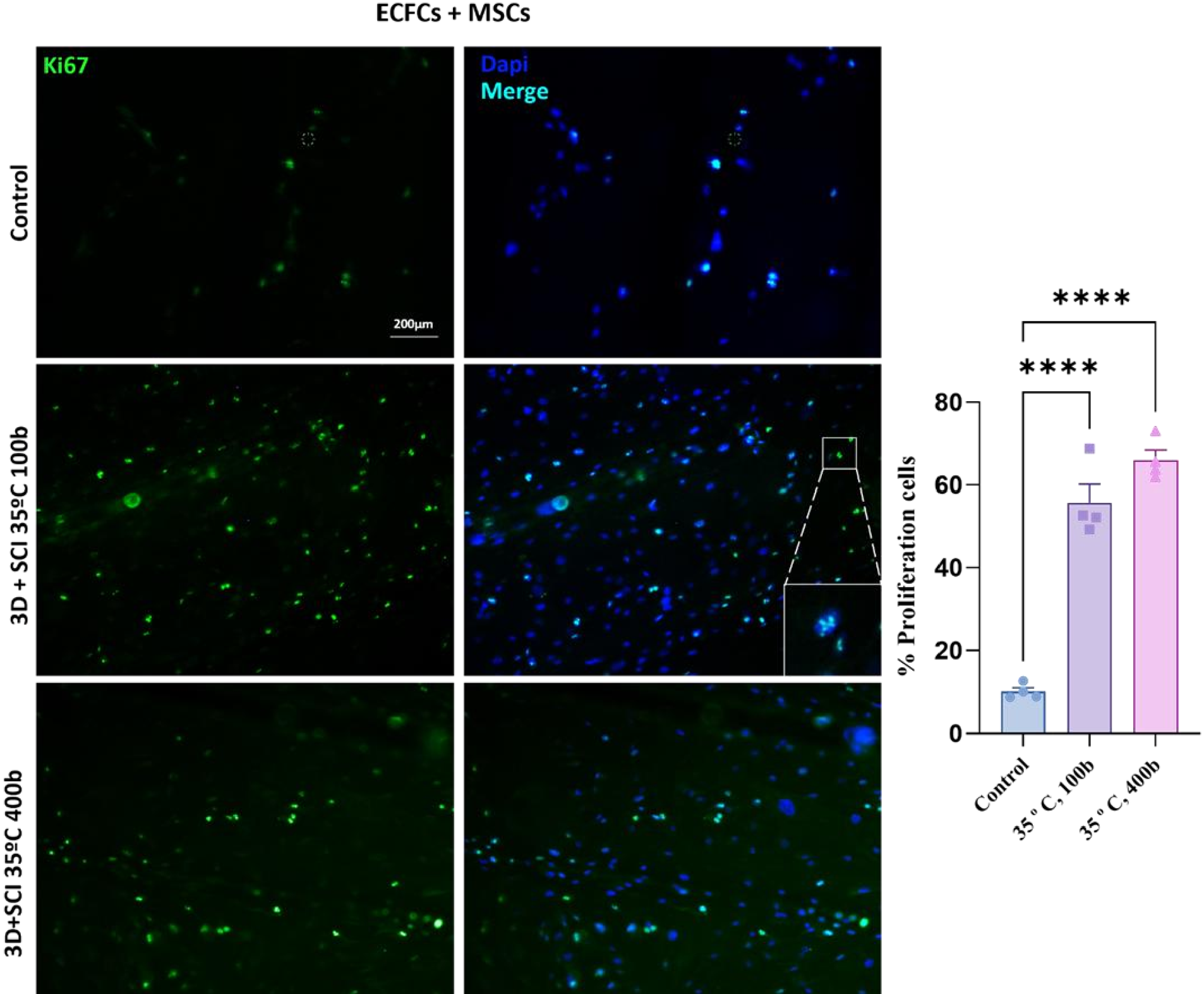 Preprints 200929 g007