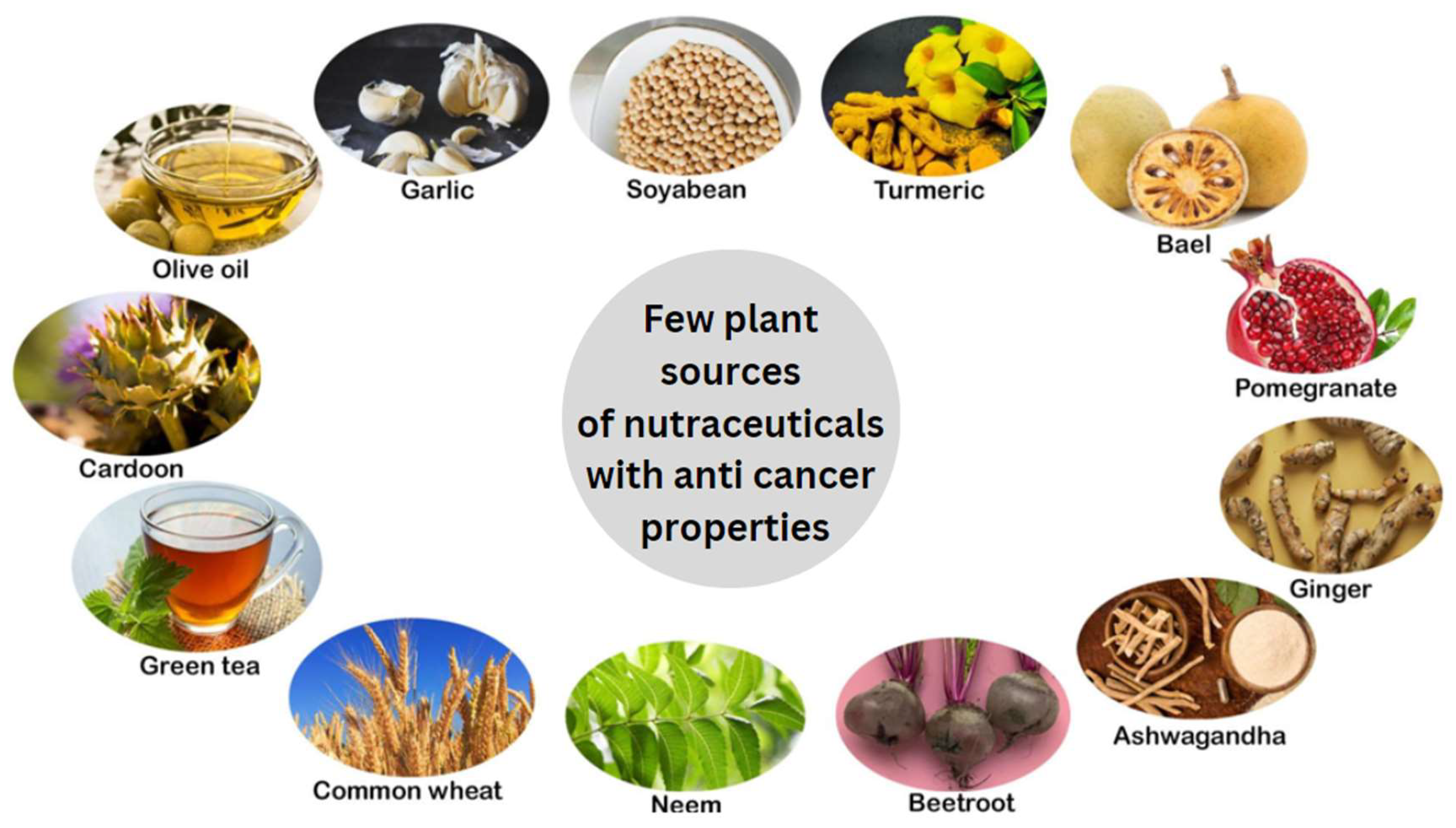 Preprints 157401 g001