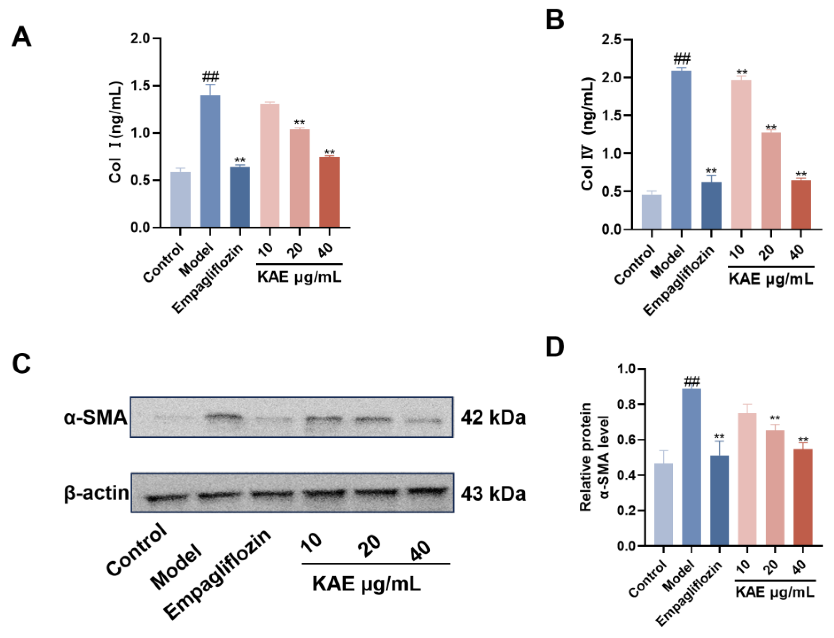 Preprints 209304 g006 Preprints 209304 g006