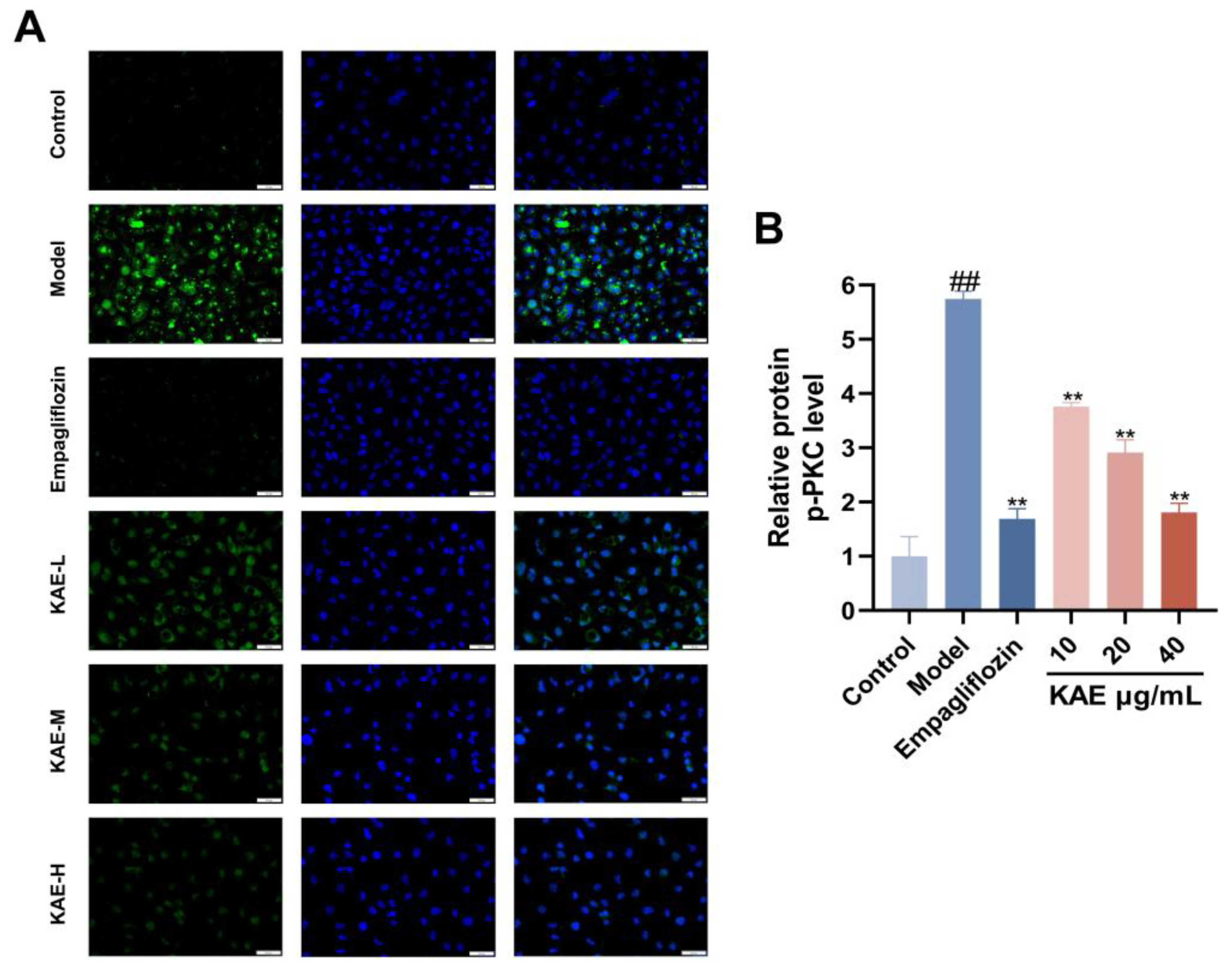Preprints 209304 g008 Preprints 209304 g008