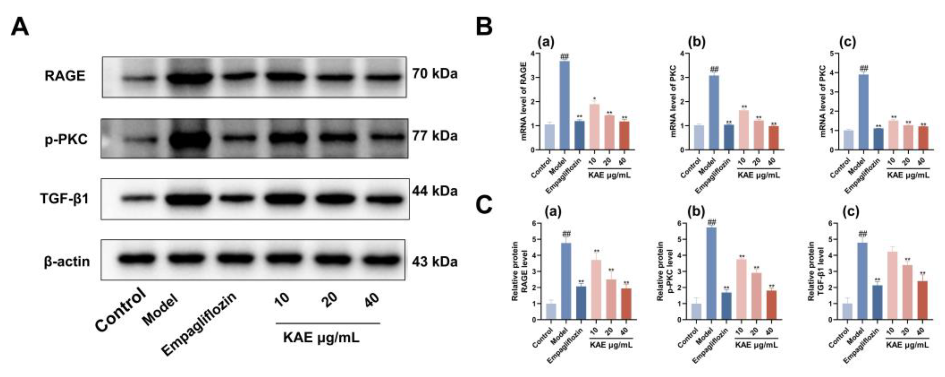 Preprints 209304 g009 Preprints 209304 g009