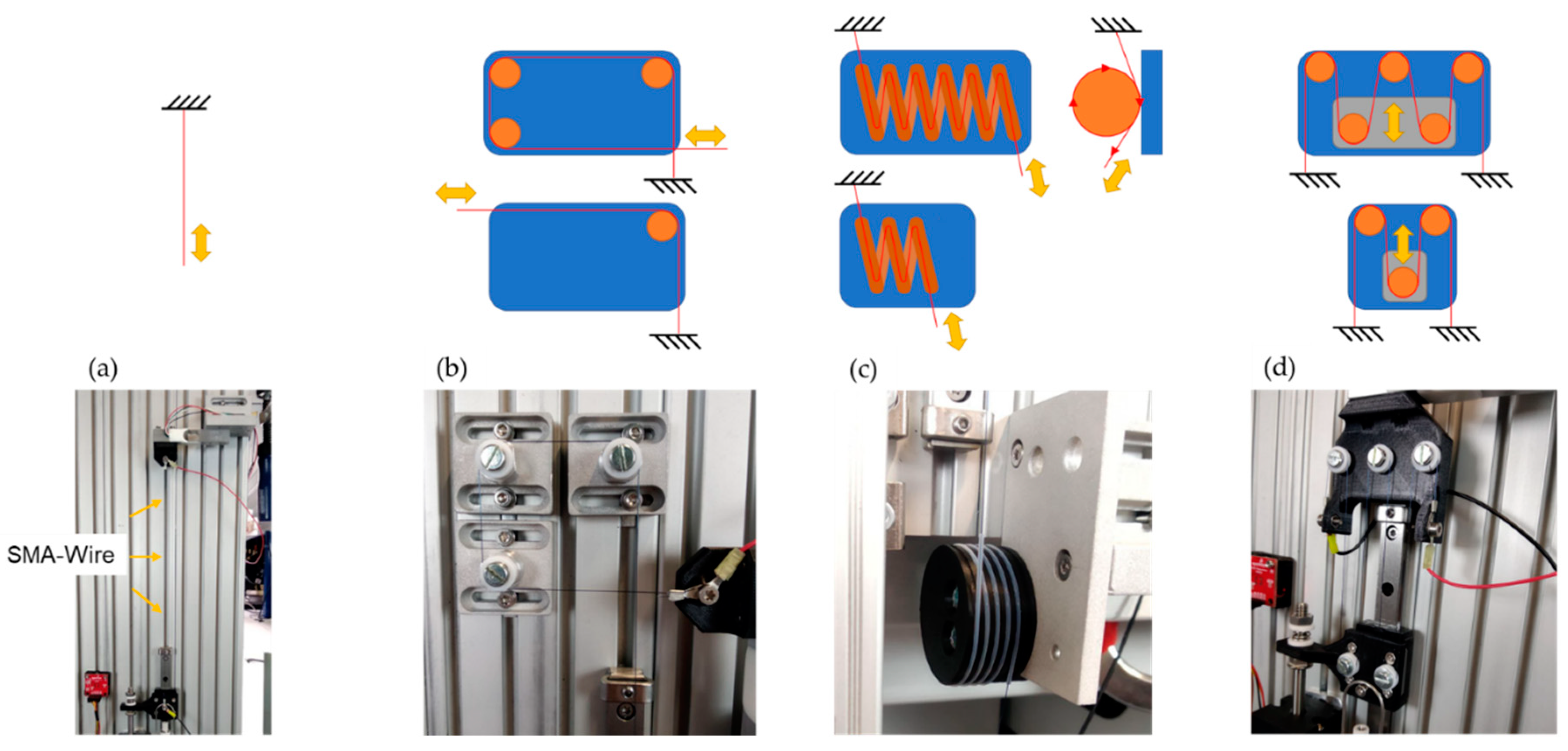 Preprints 69011 g007