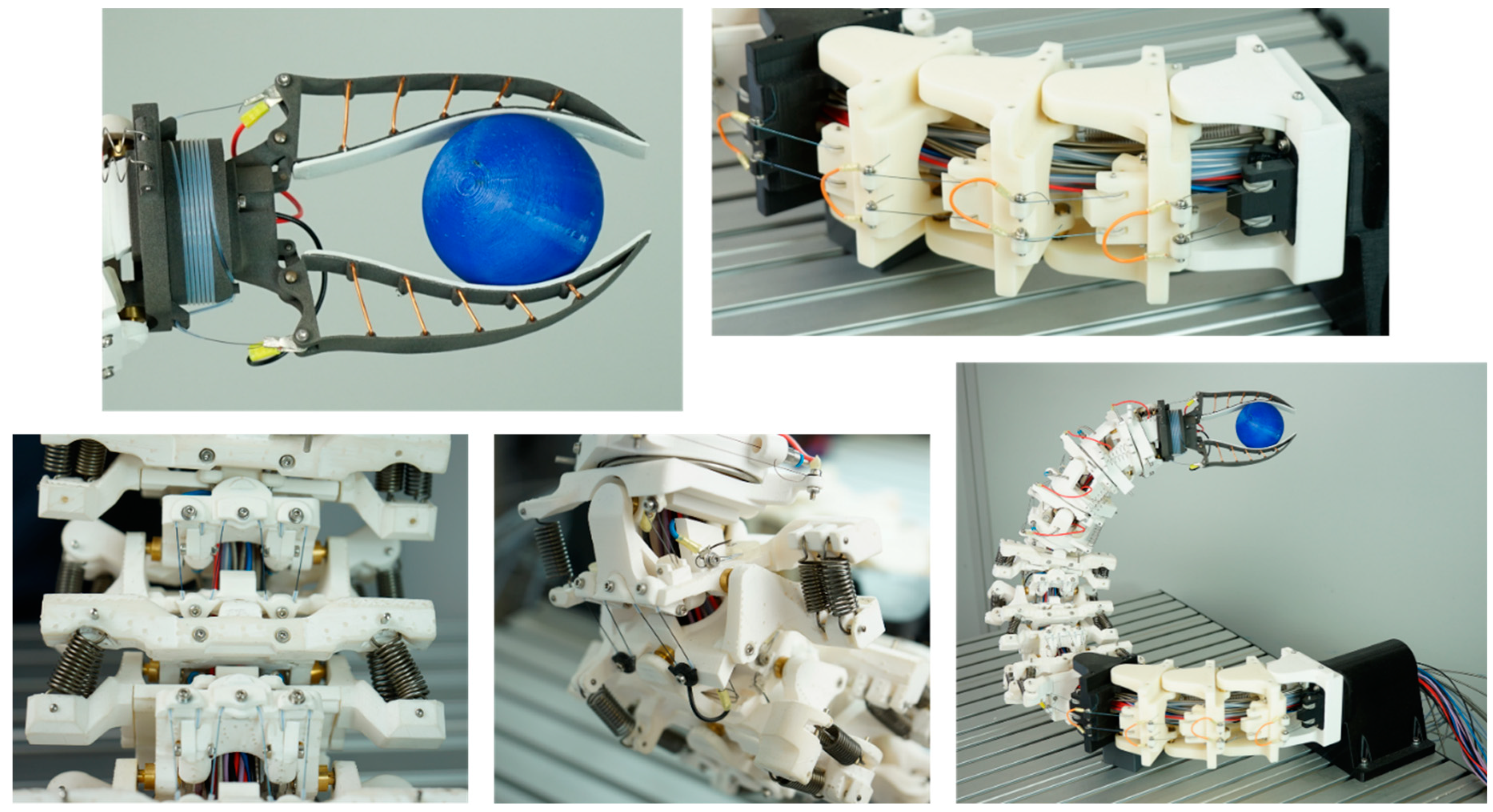 Preprints 69011 g009