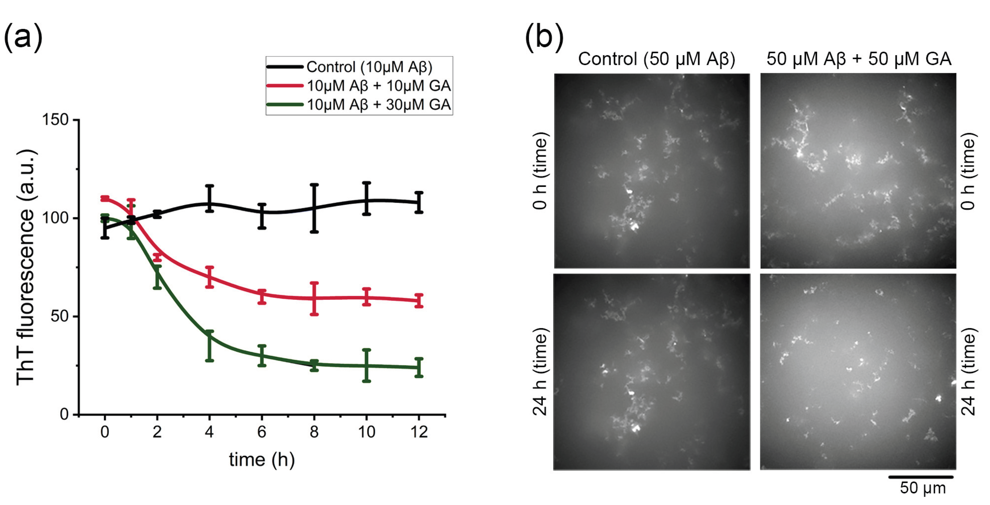 Preprints 170743 g005