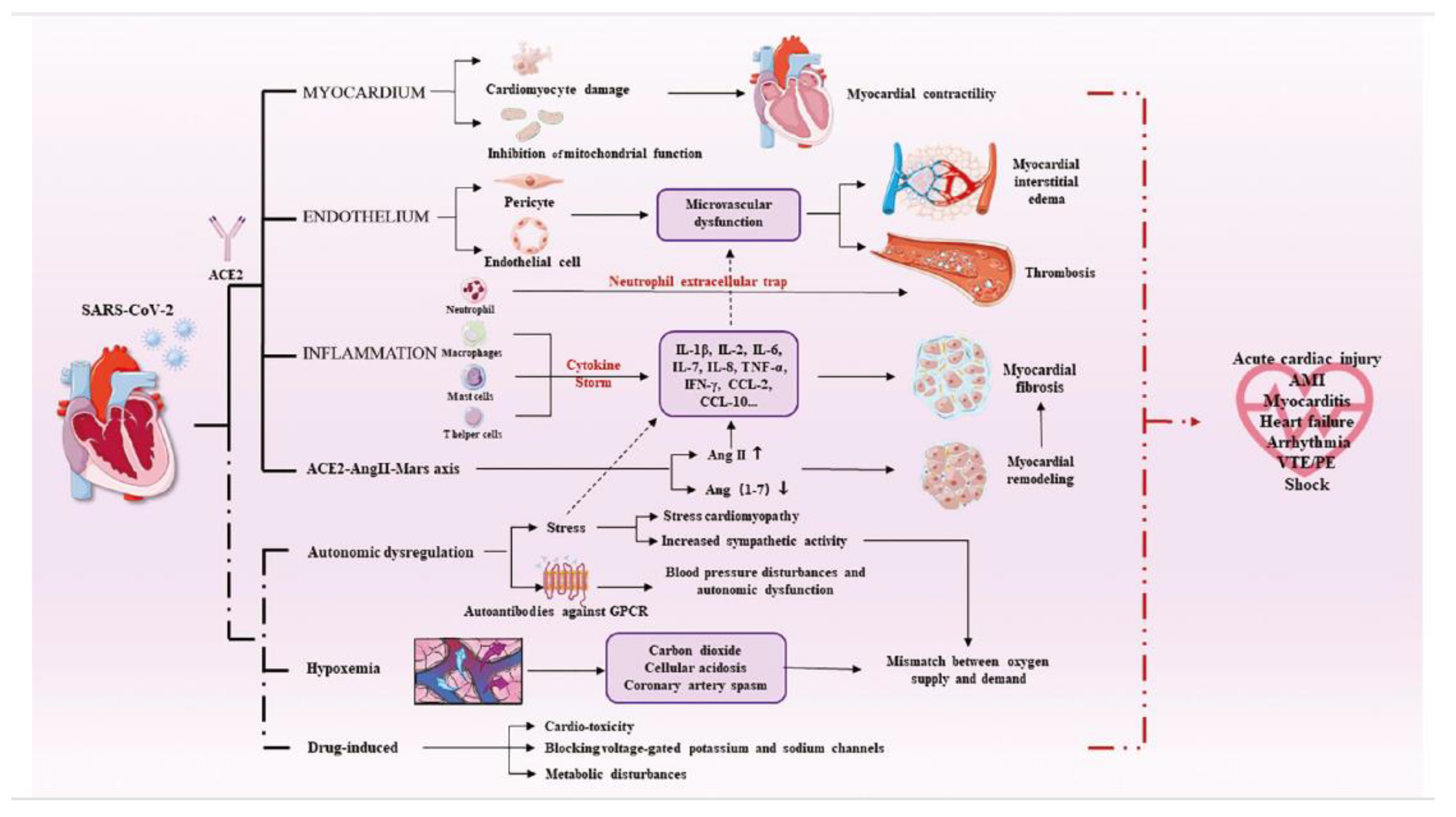 Preprints 87472 g003