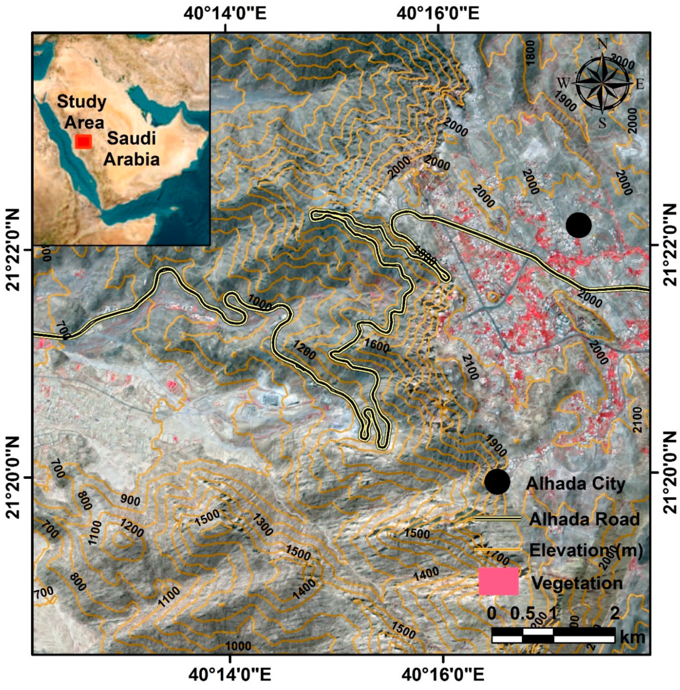 Preprints 84745 g001