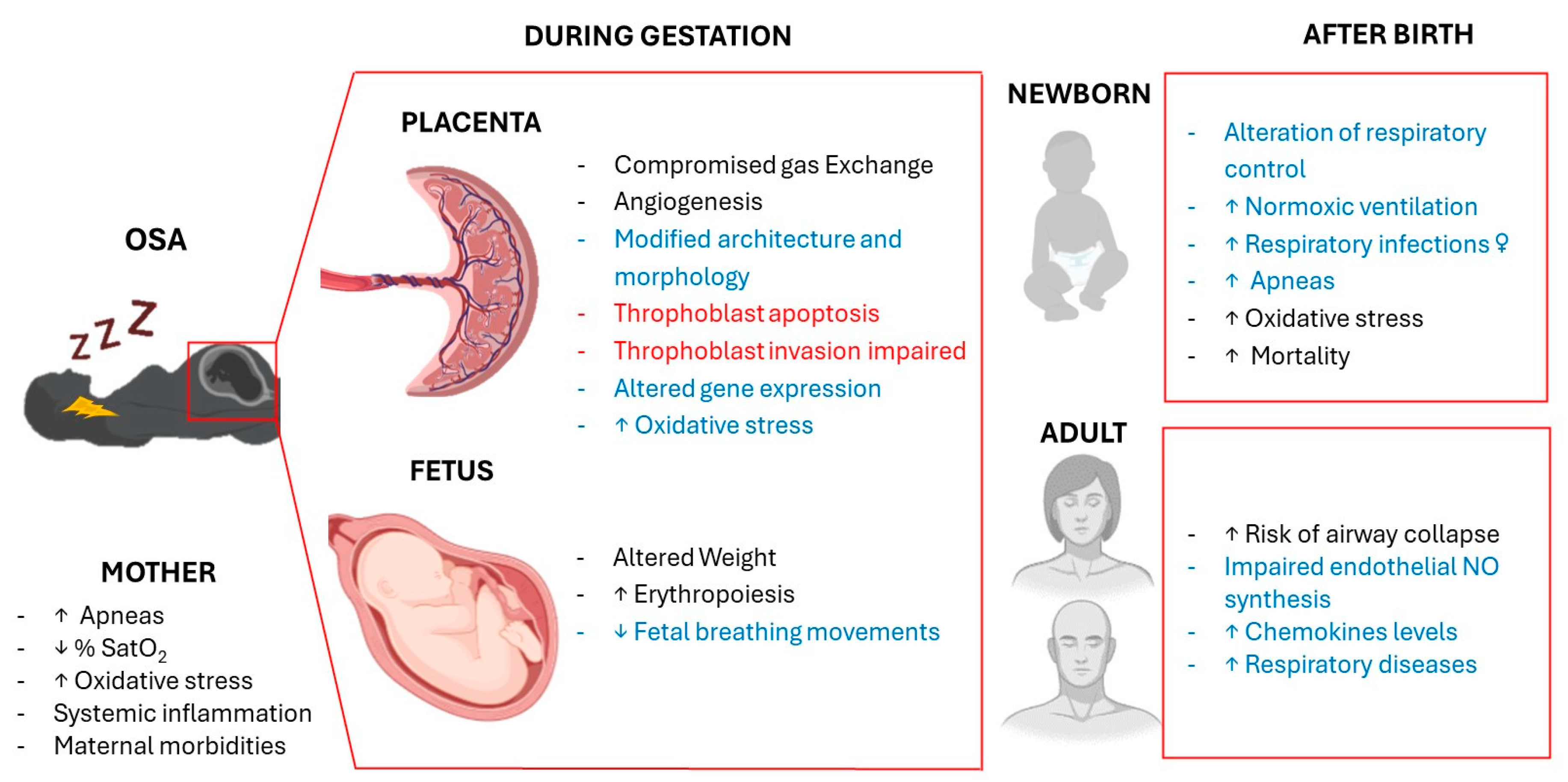 Preprints 105337 g001