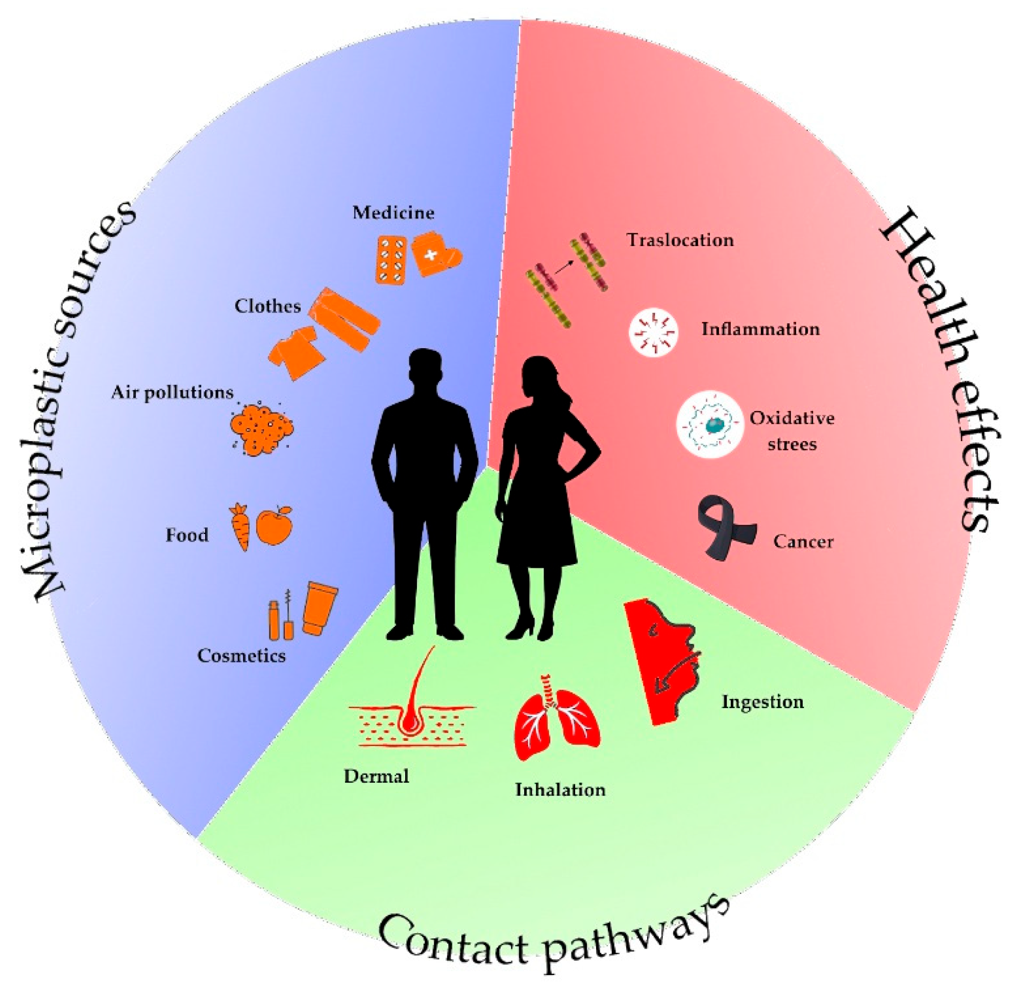 Preprints 194715 g006