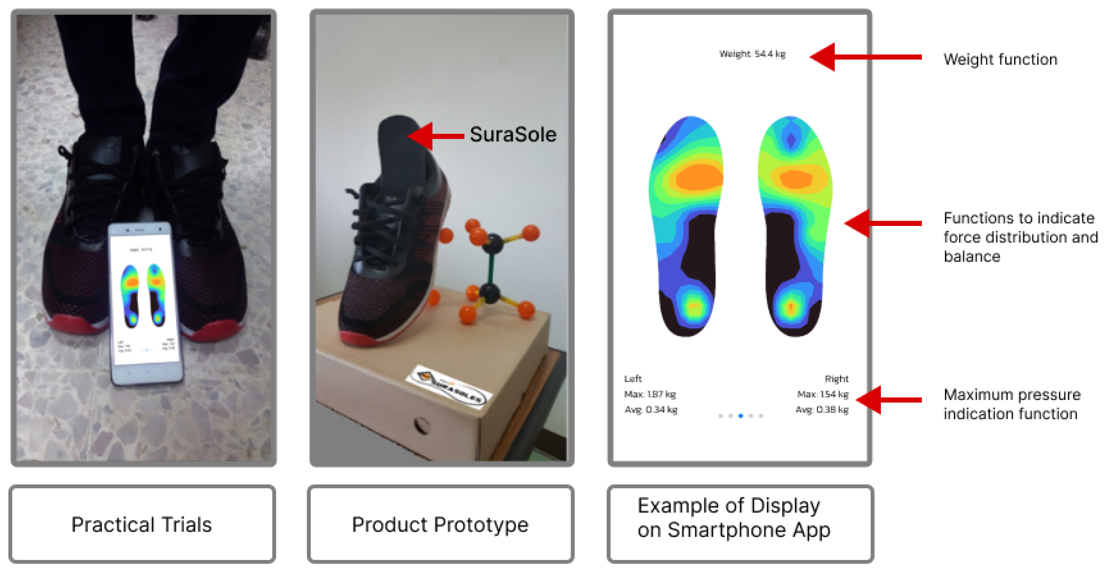 Preprints 191684 g001