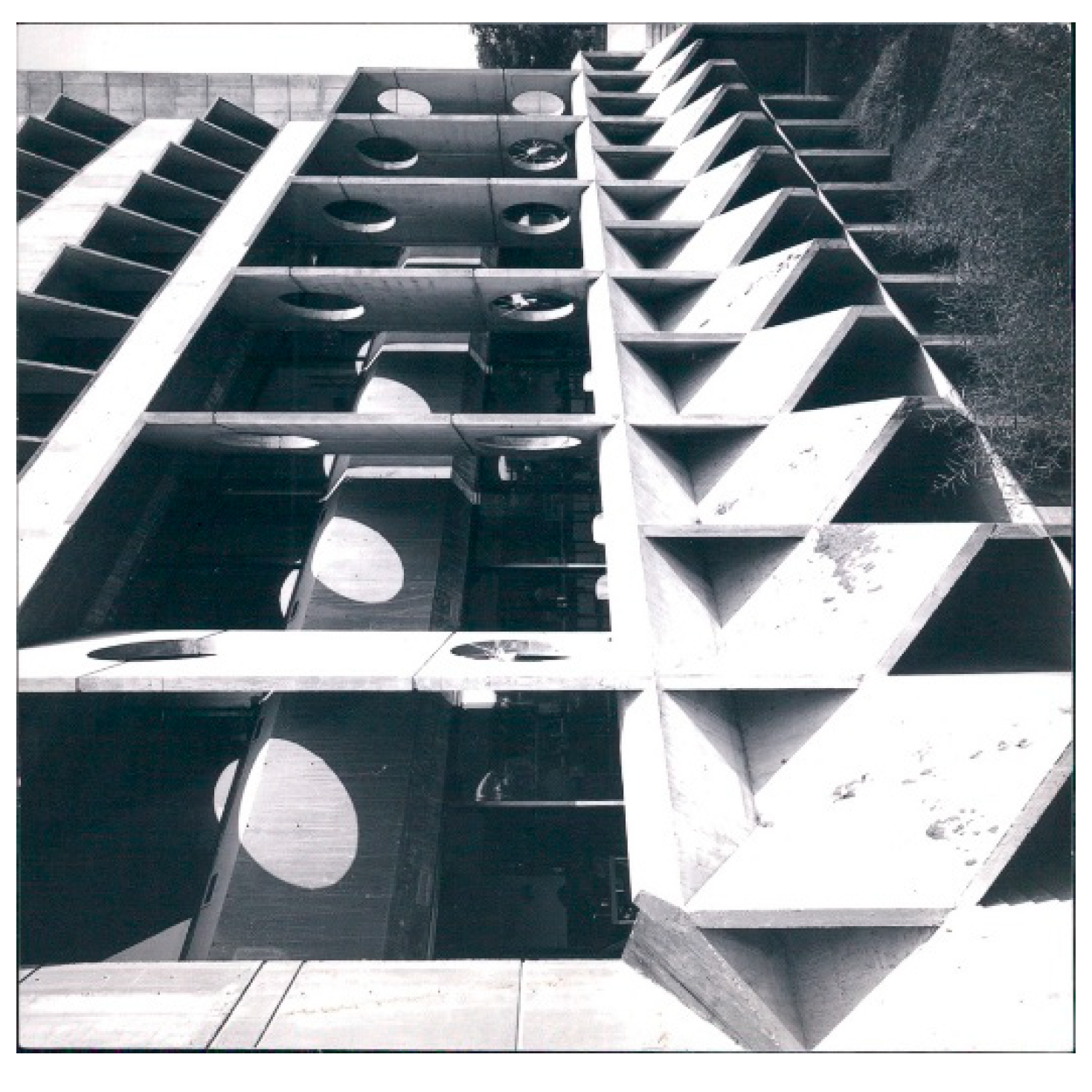 Preprints 200337 g018