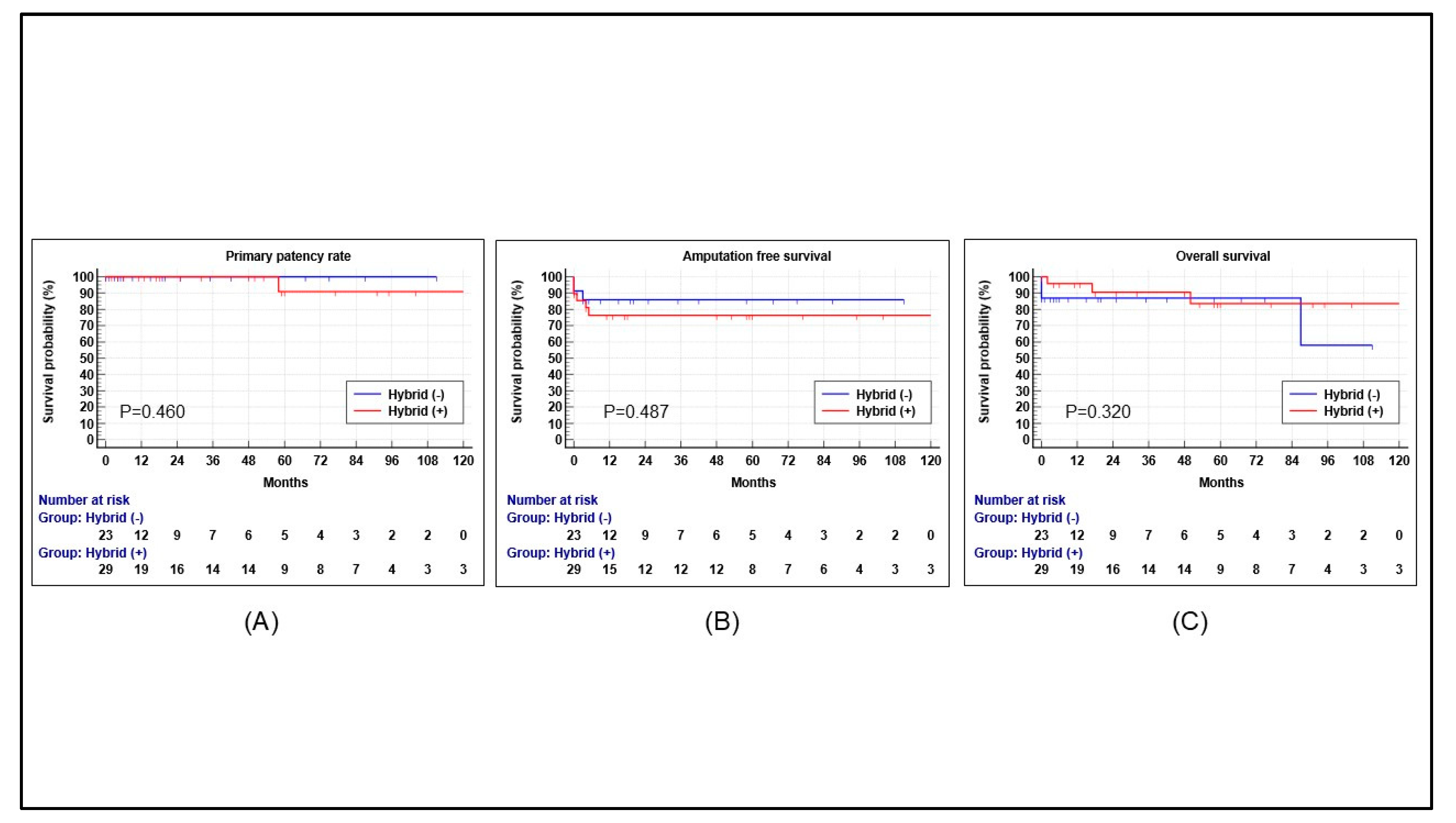 Preprints 196771 g003