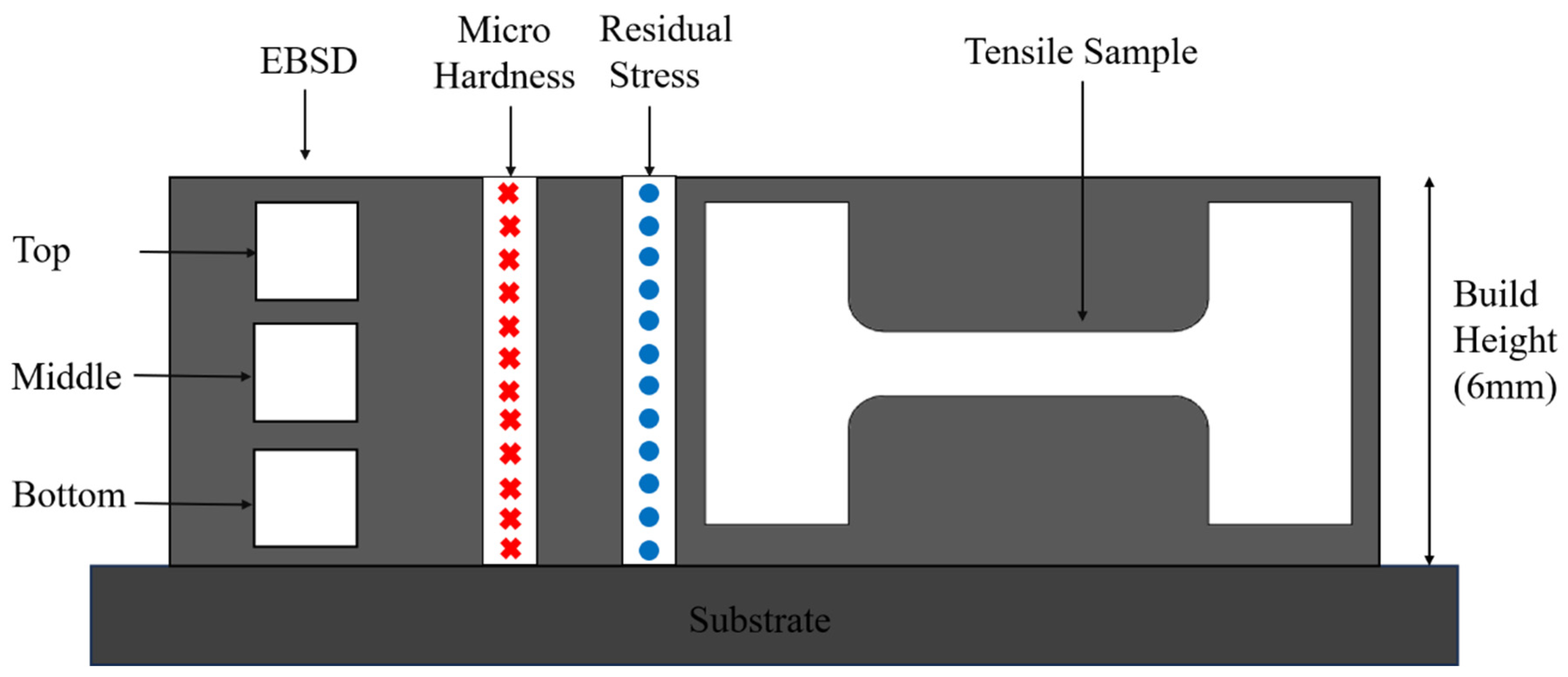 Preprints 151781 g003