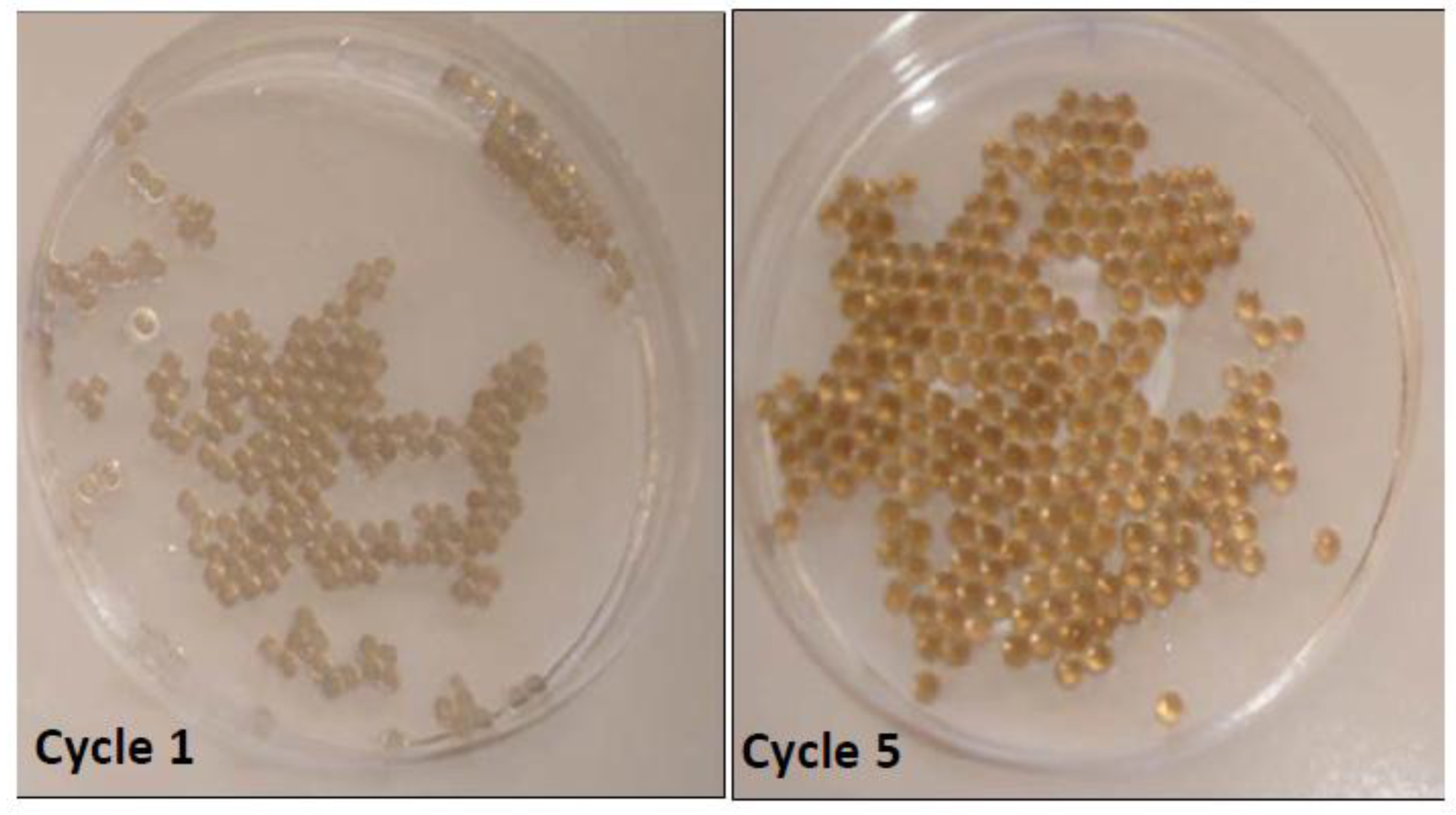 Preprints 191301 g007