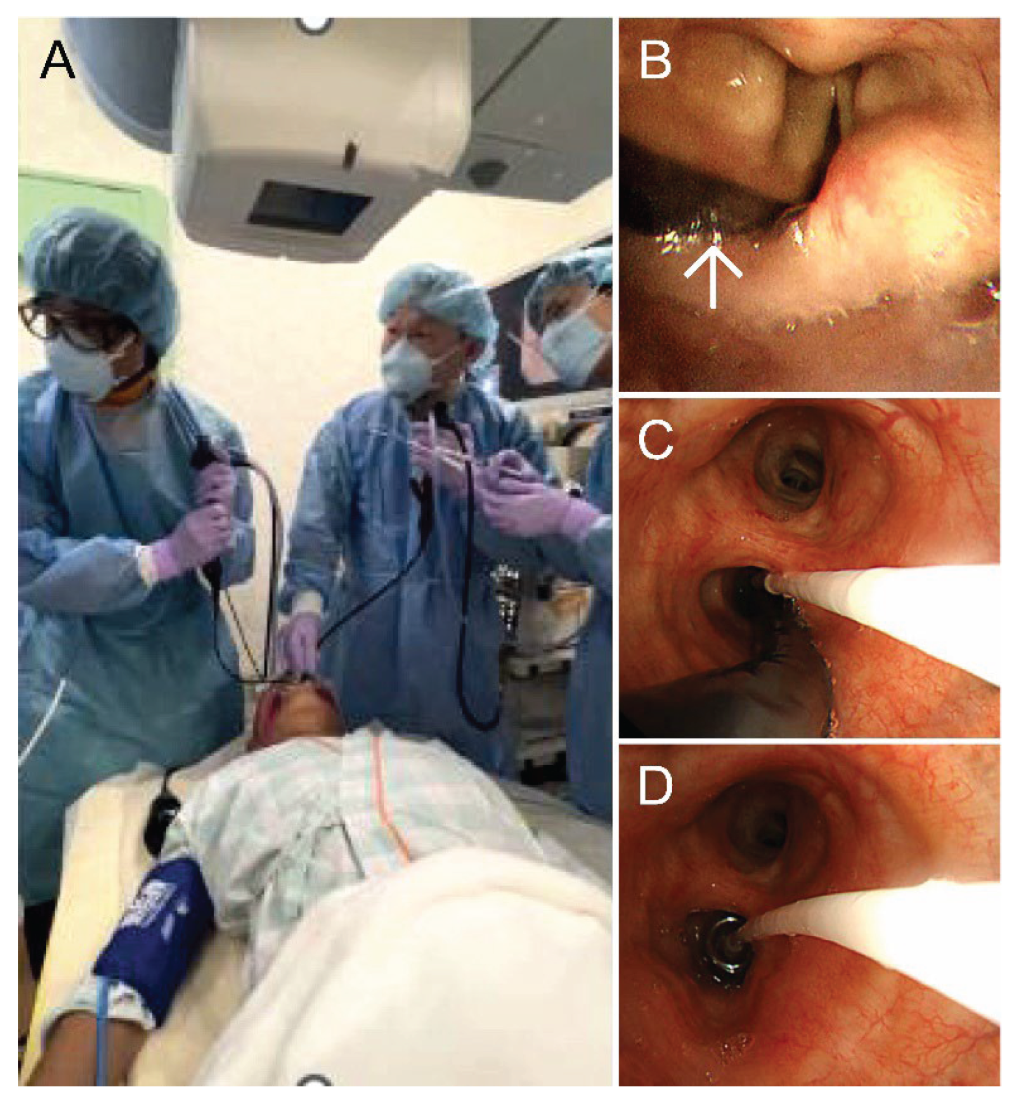 Preprints 164053 g001