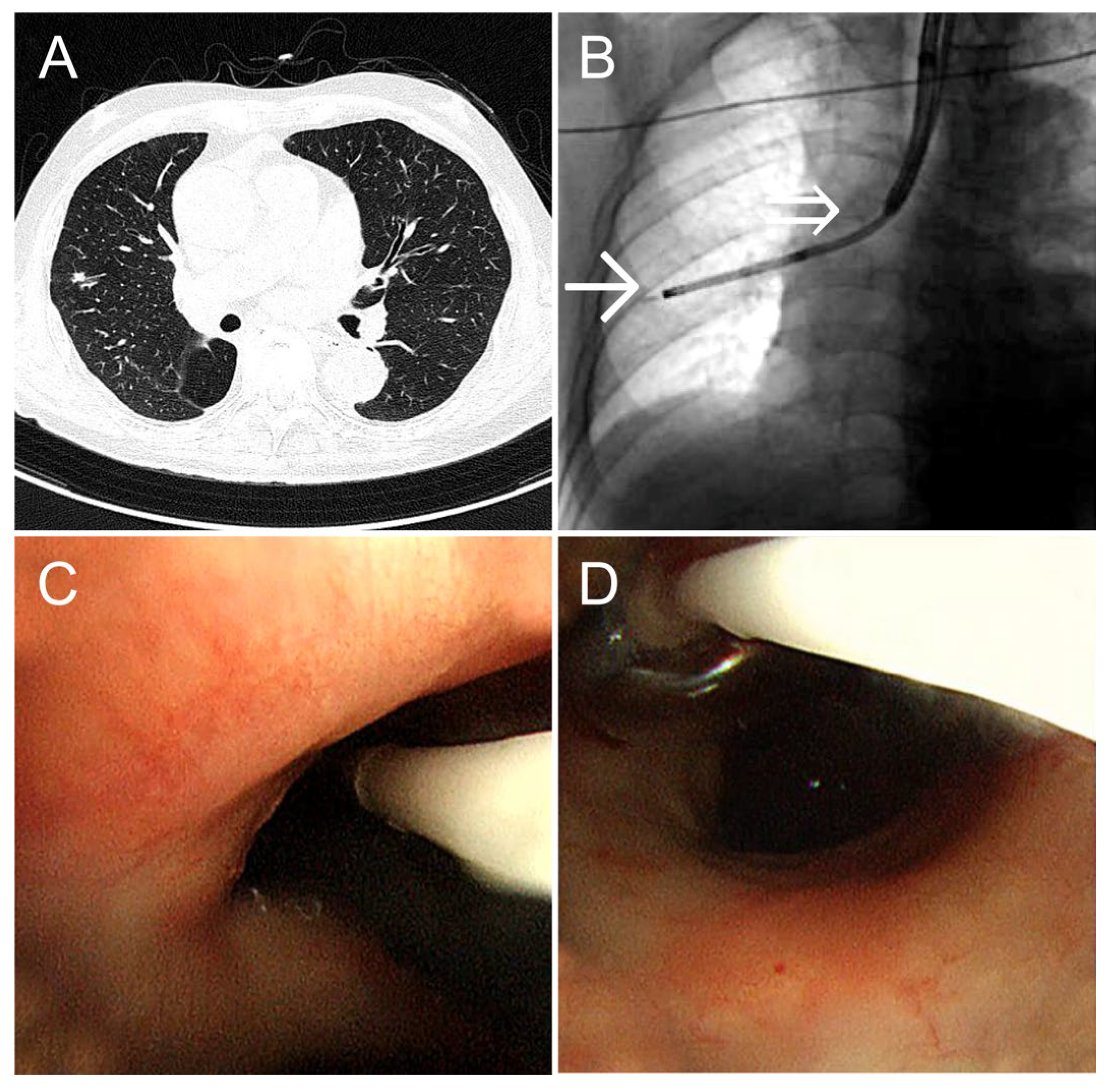 Preprints 164053 g002
