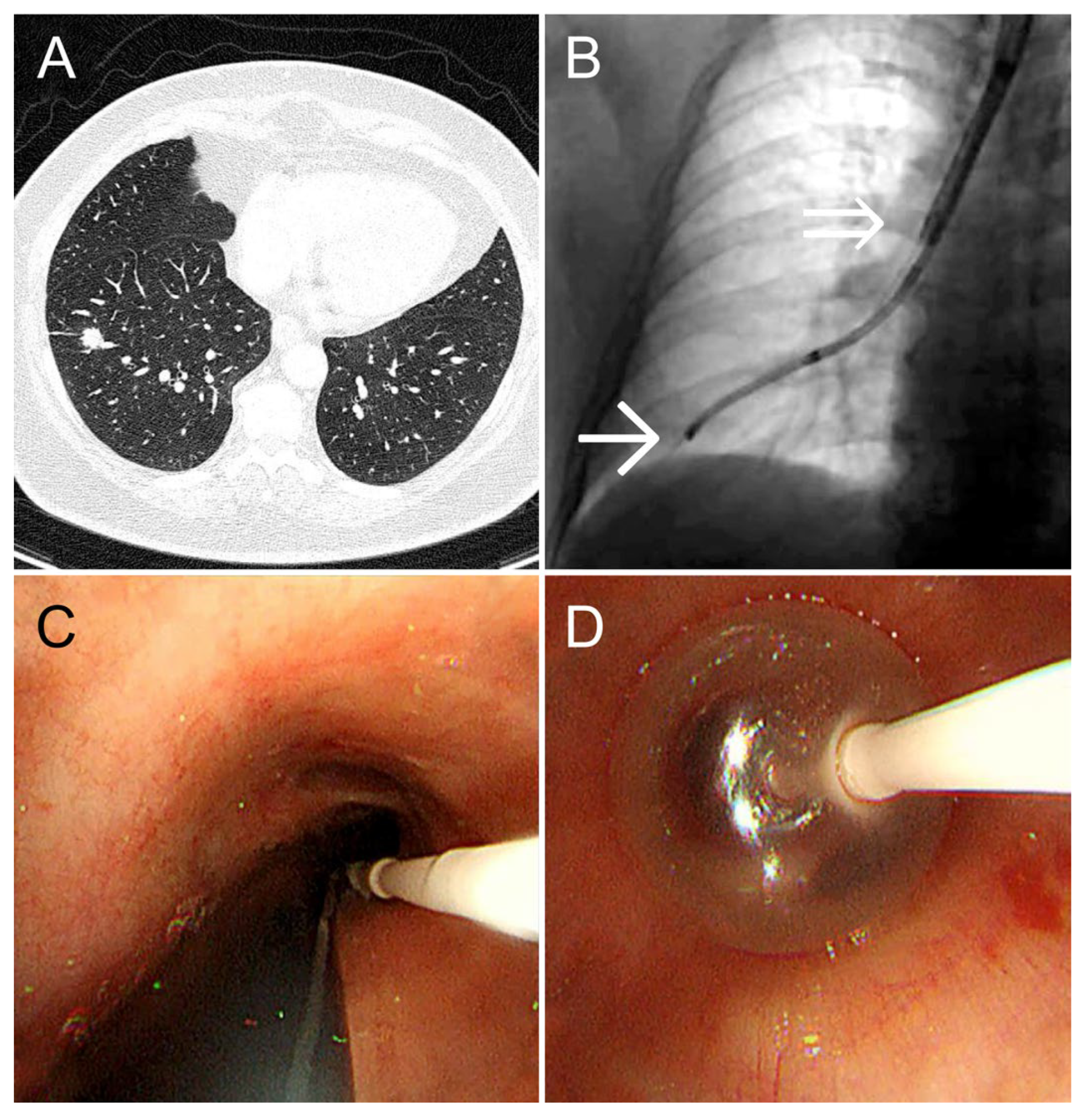 Preprints 164053 g003