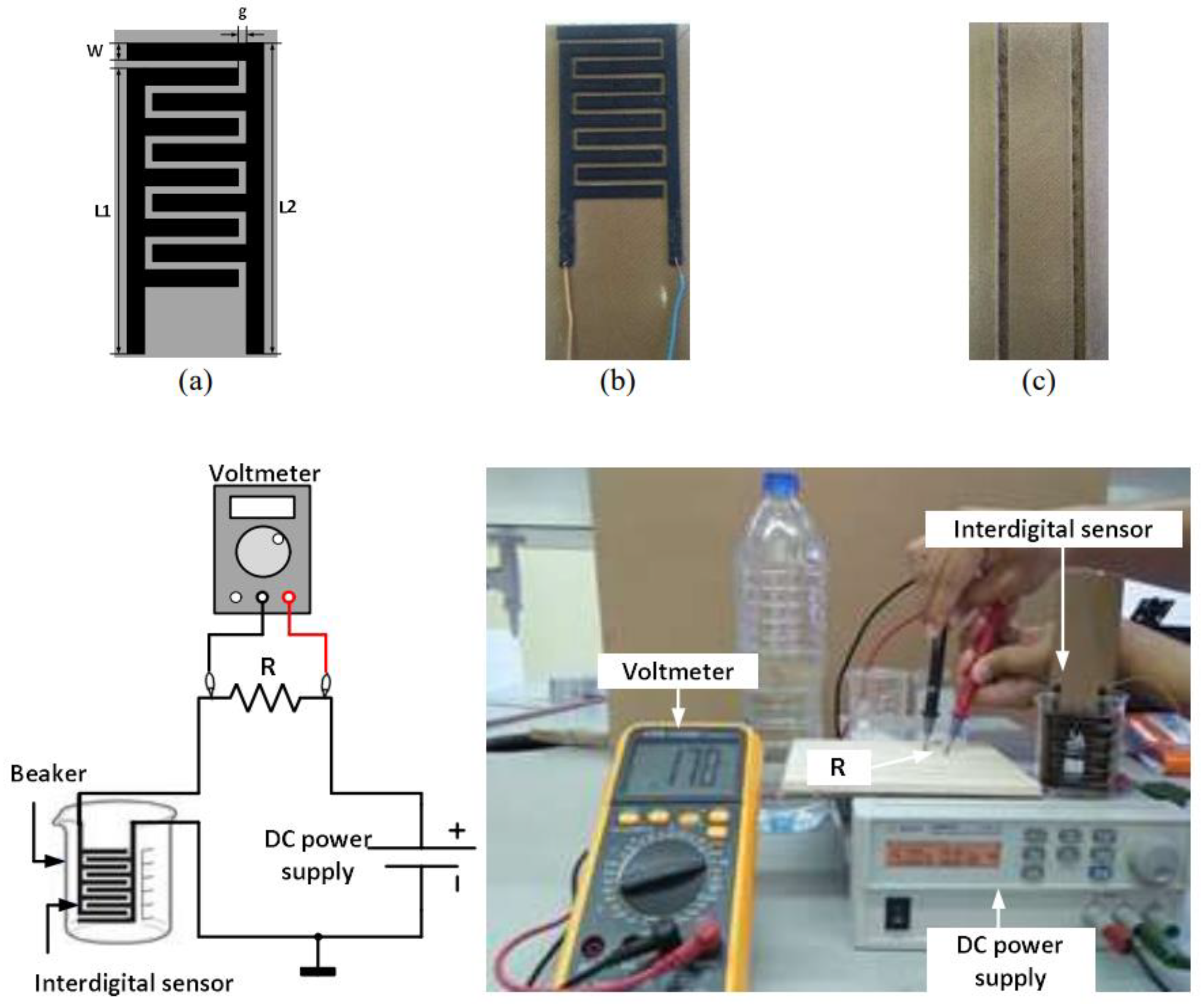 Preprints 146453 g004