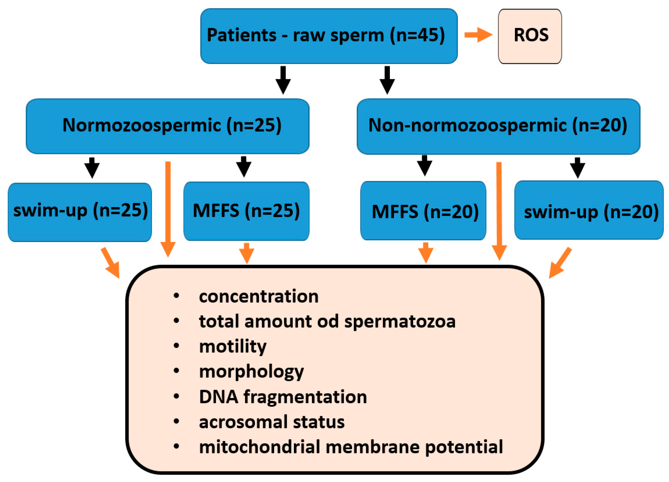 Preprints 143606 g003