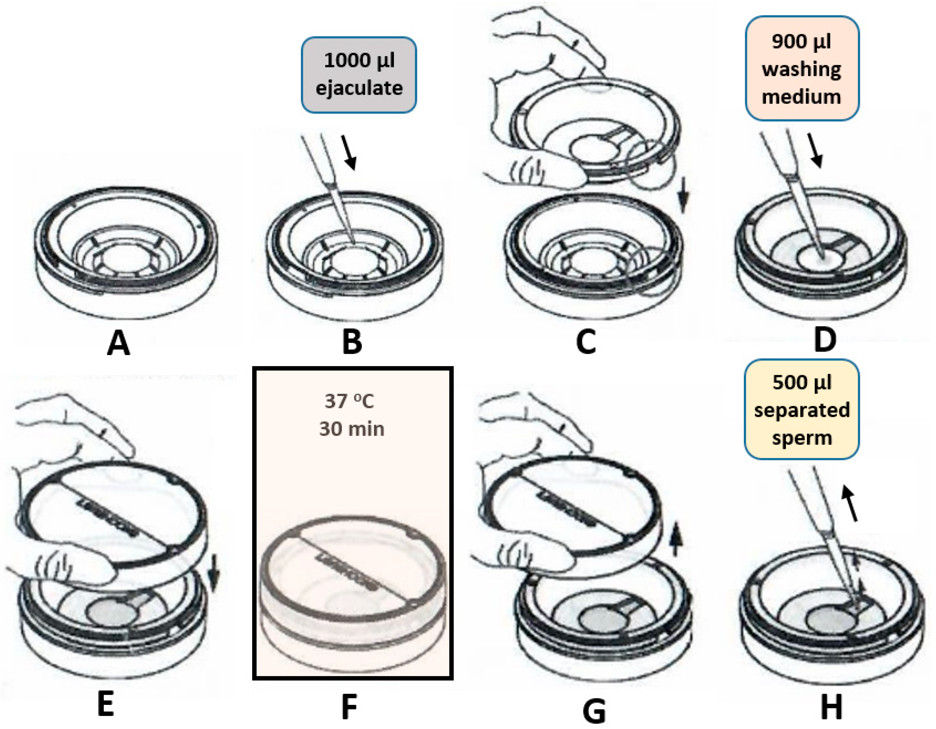 Preprints 143606 g004