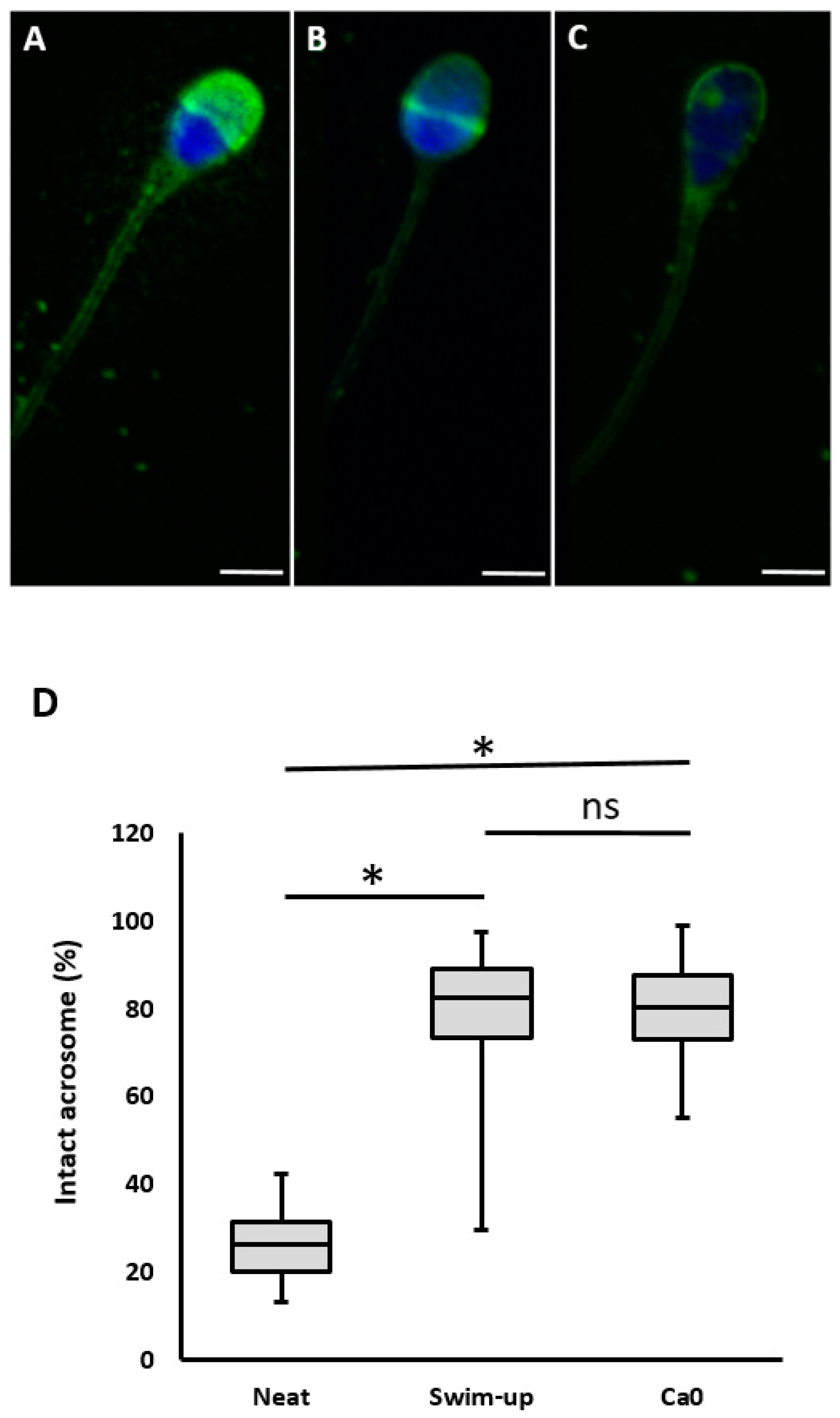 Preprints 143606 g005