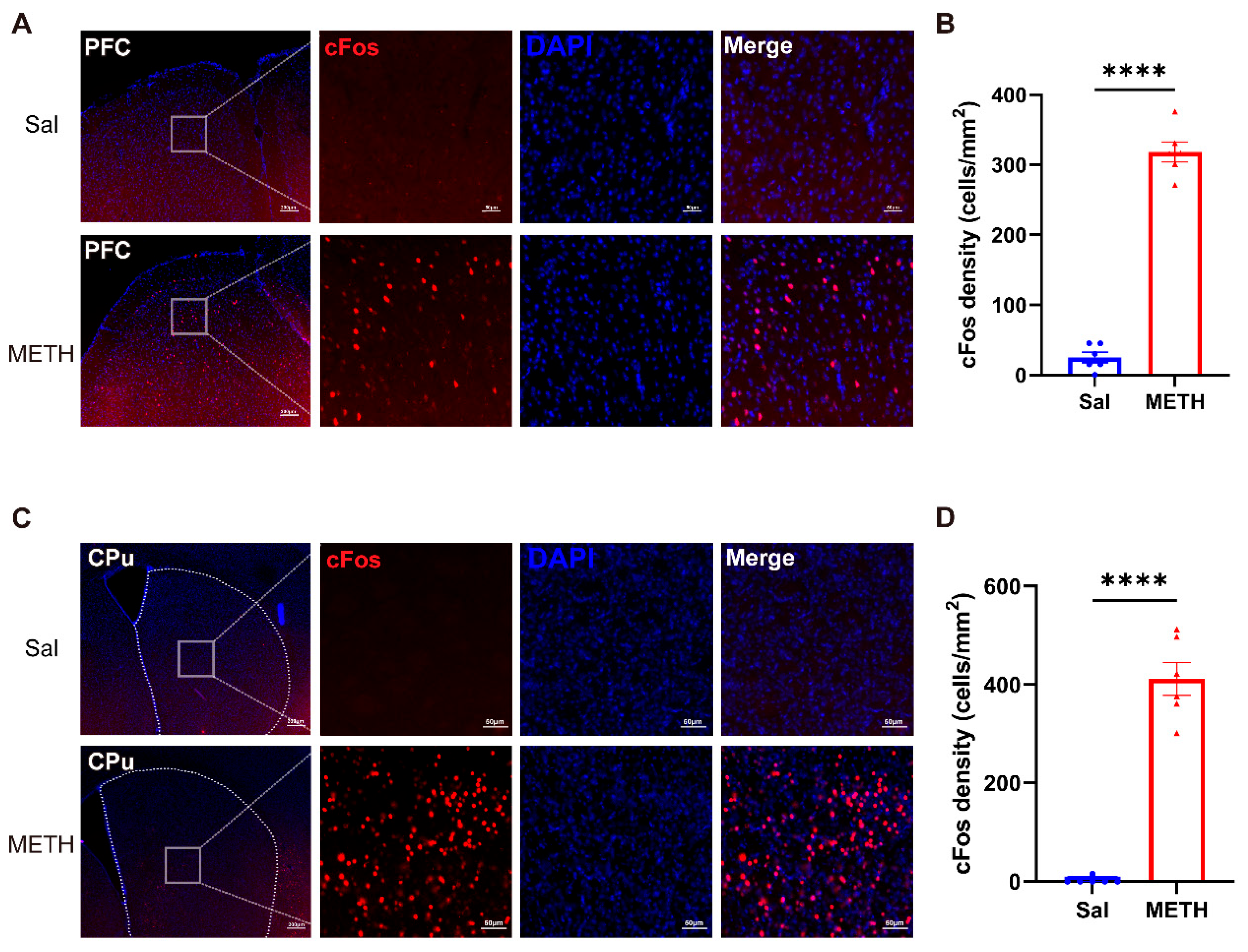 Preprints 162941 g002