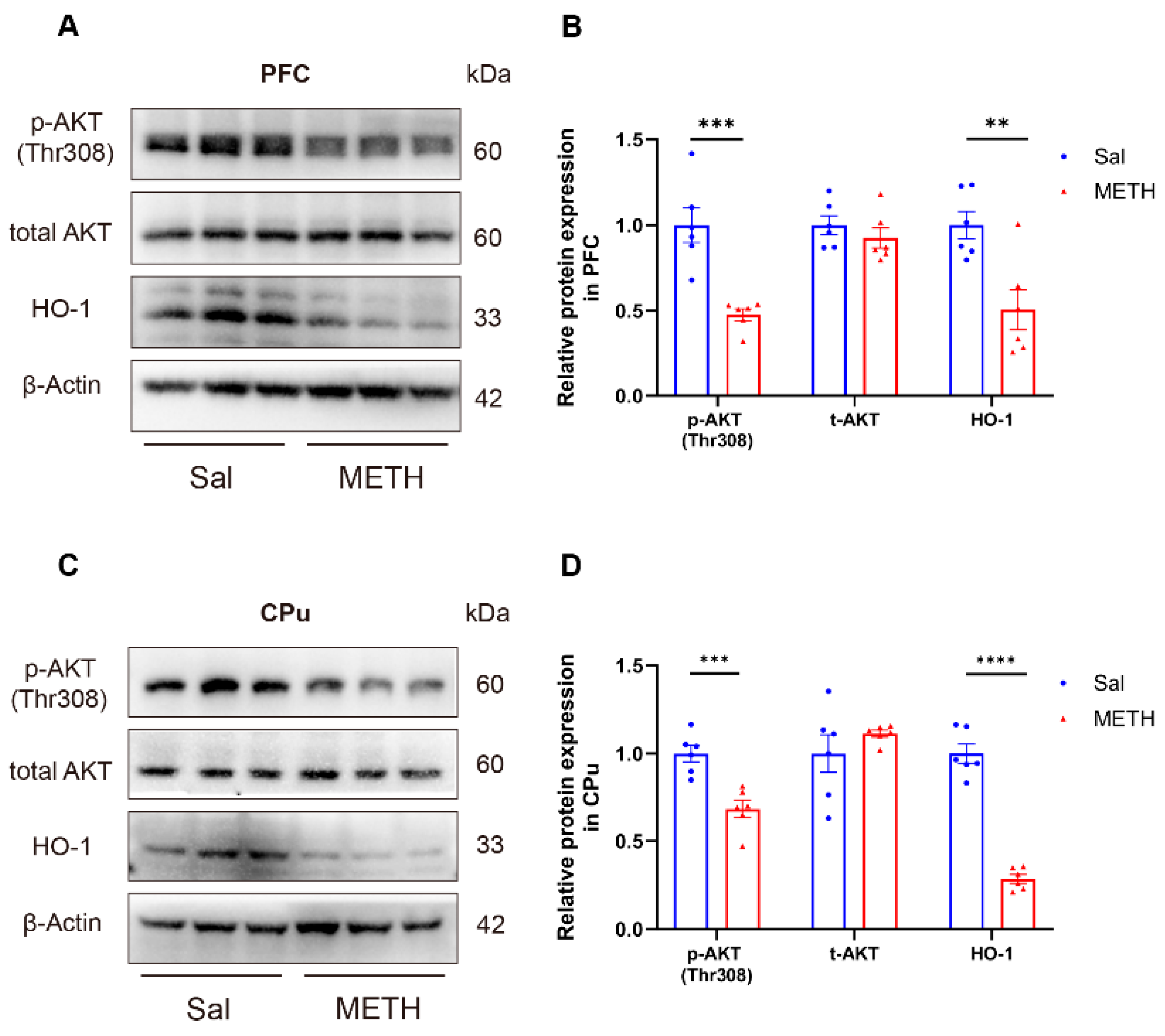 Preprints 162941 g003