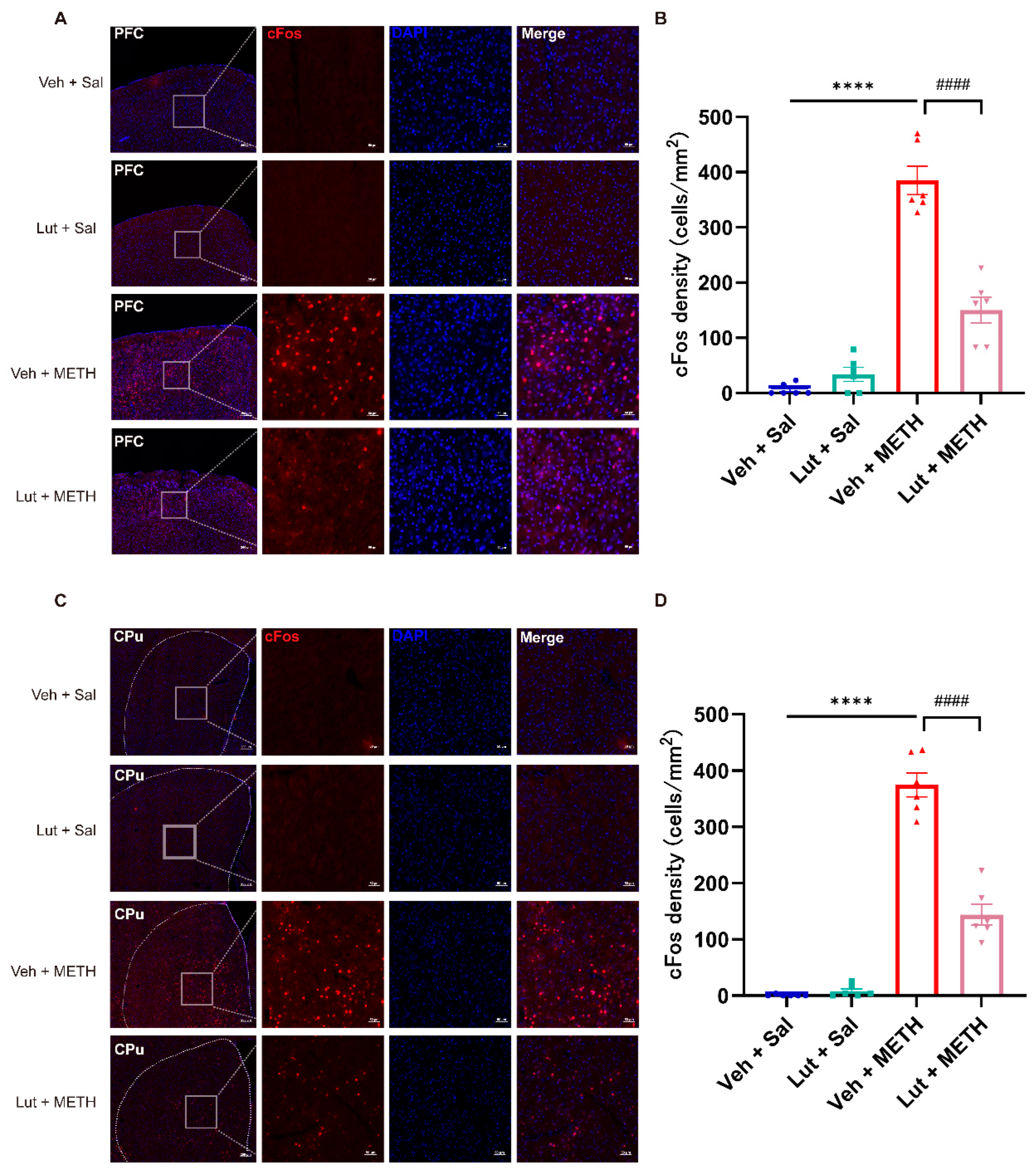 Preprints 162941 g005