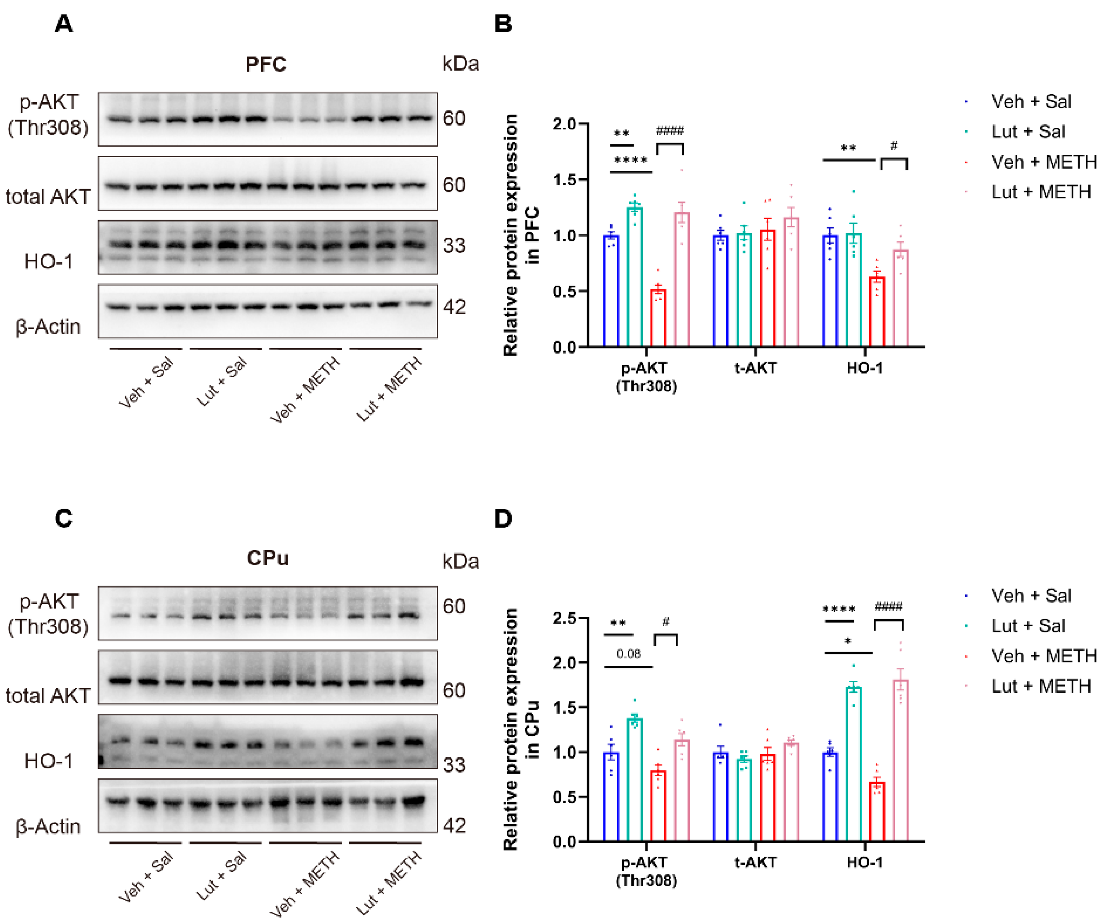Preprints 162941 g006