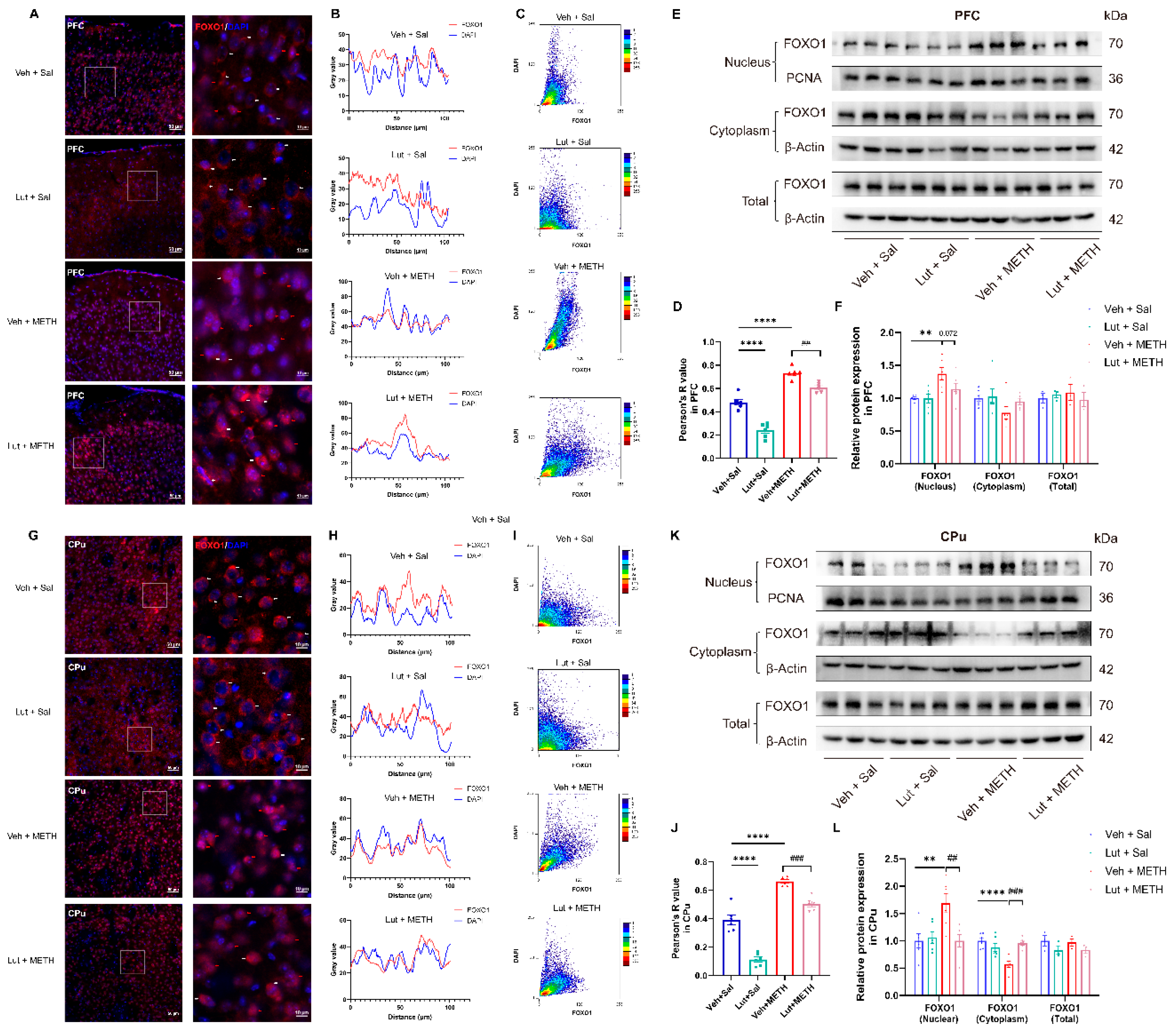 Preprints 162941 g007