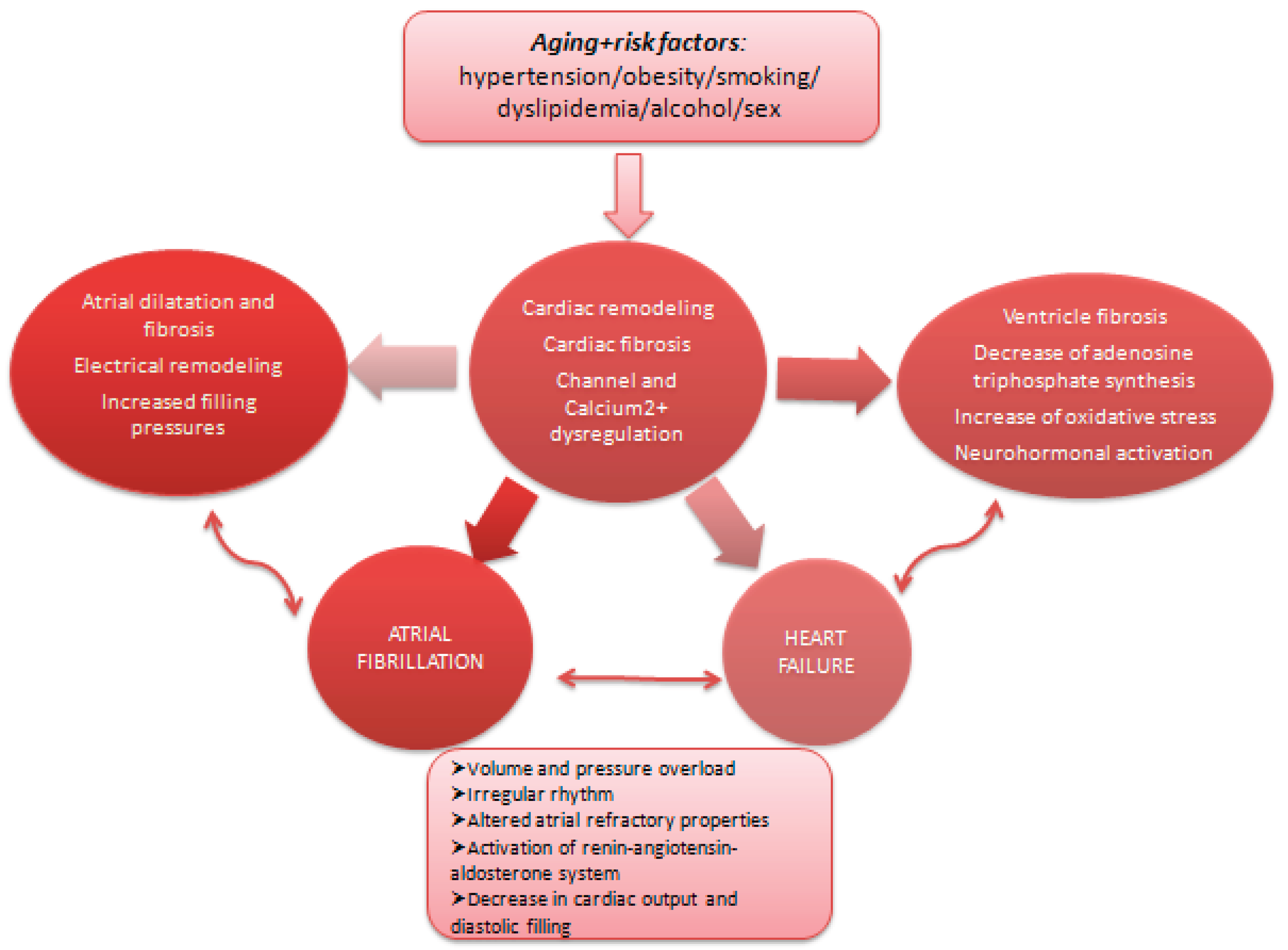 Preprints 191227 g002